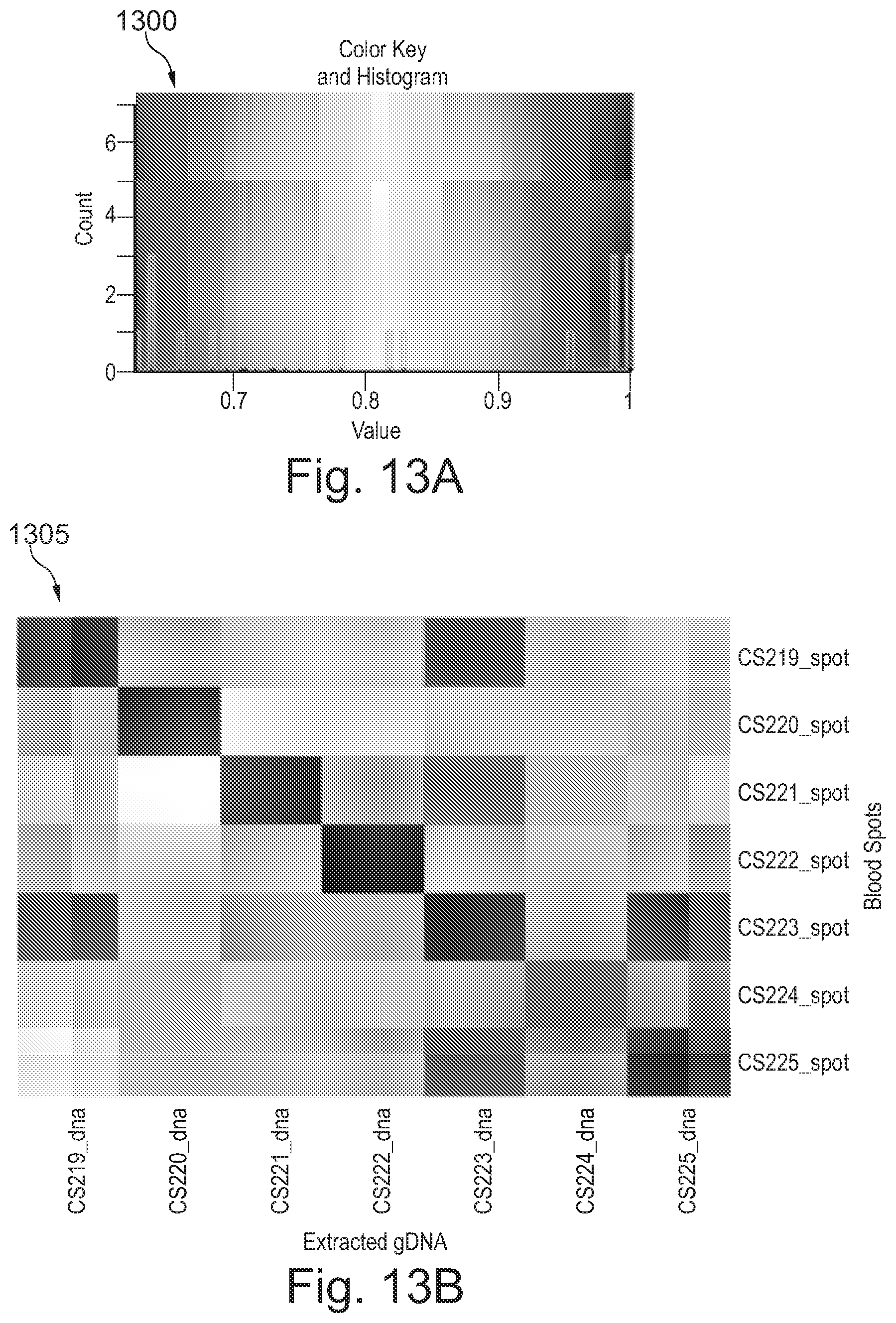 Patent US12157910 Figure 13 – Sample preparation for nucleic acid amplification