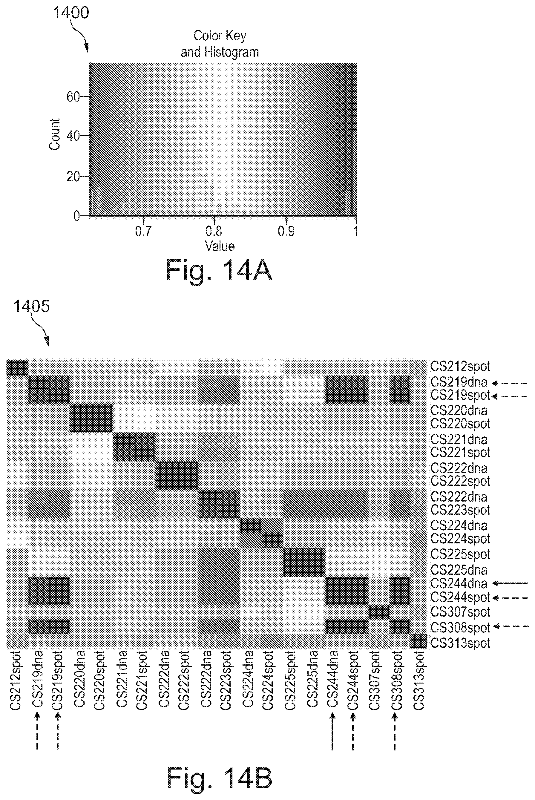 Patent US12157910 Figure 14 – Sample preparation for nucleic acid amplification