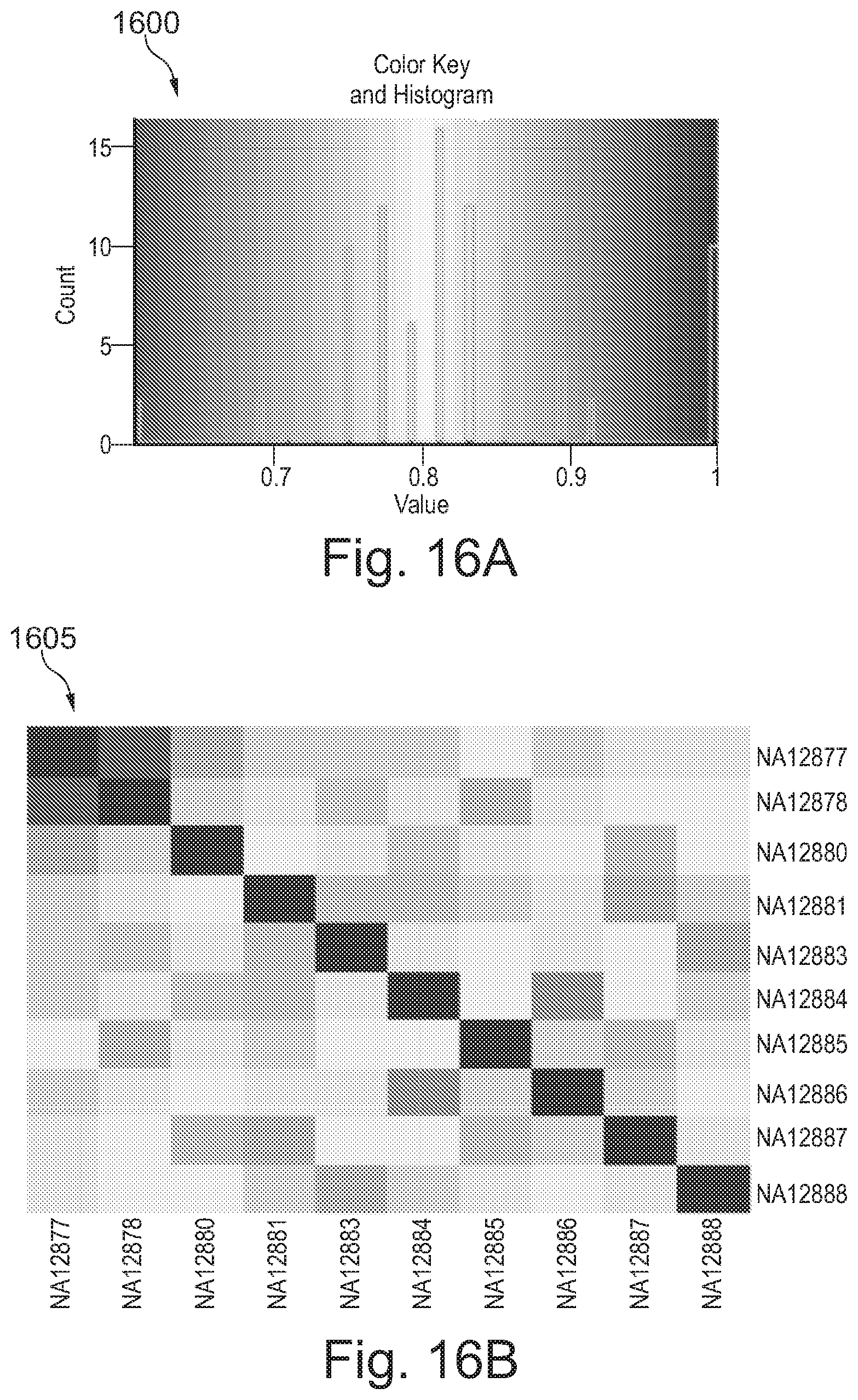 Patent US12157910 Figure 16 – Sample preparation for nucleic acid amplification