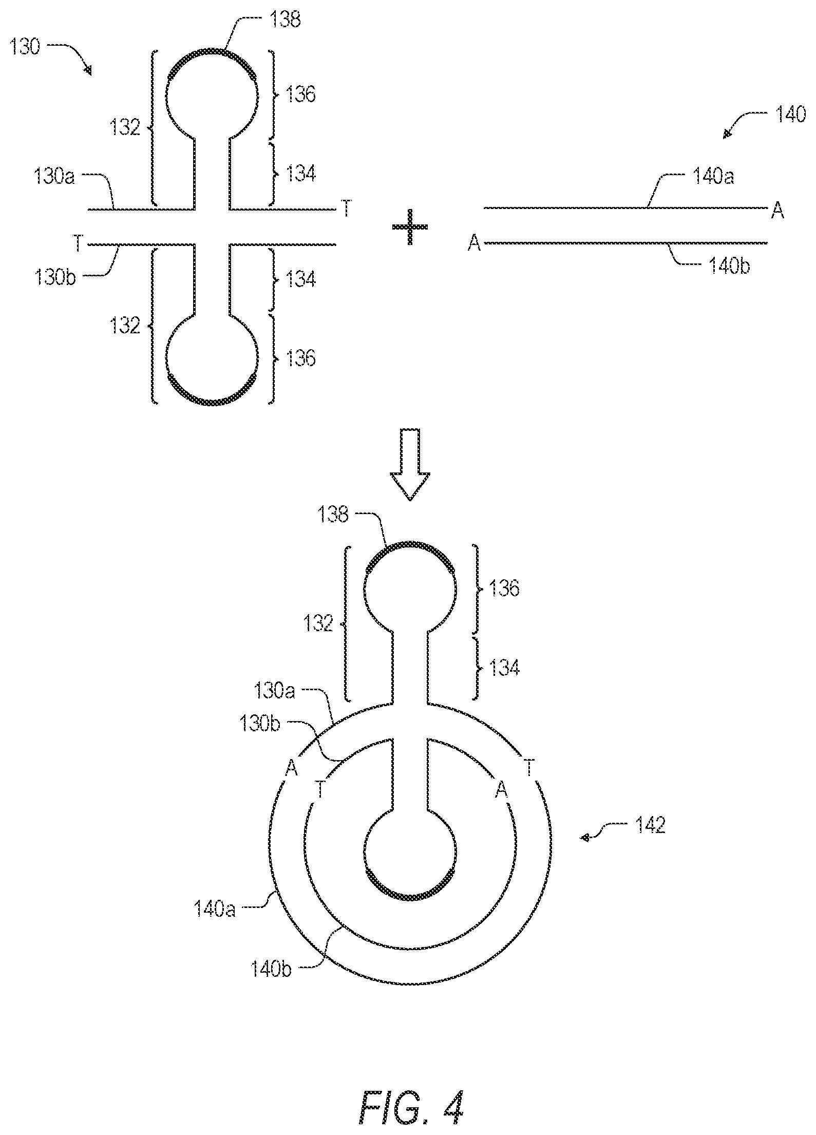 Patent US12157911 Figure 4 – Method for generating single-stranded circular DNA libraries for single molecule sequencing