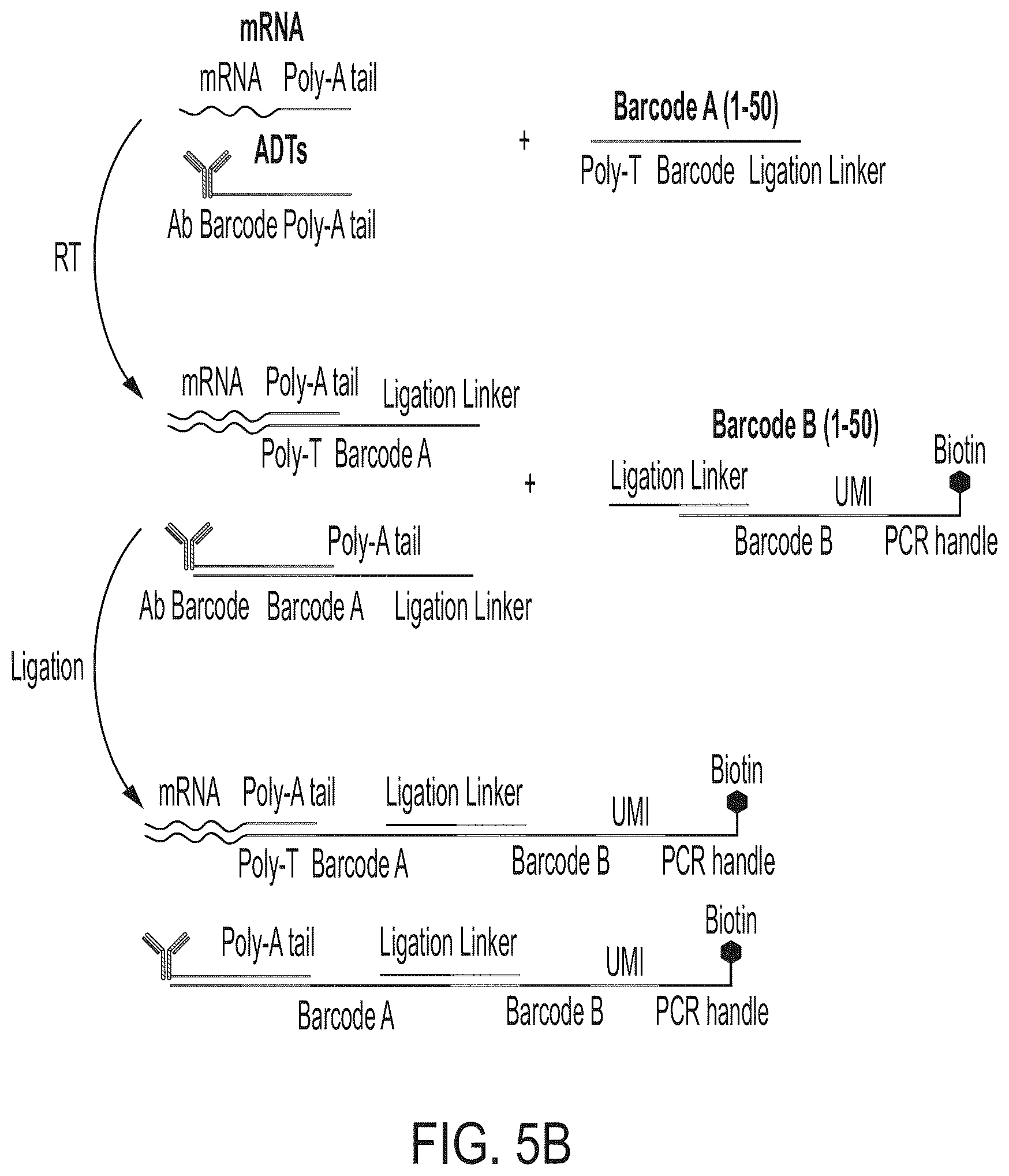 Patent US12157912 Figure 4 – Deterministic barcoding for spatial omics sequencing