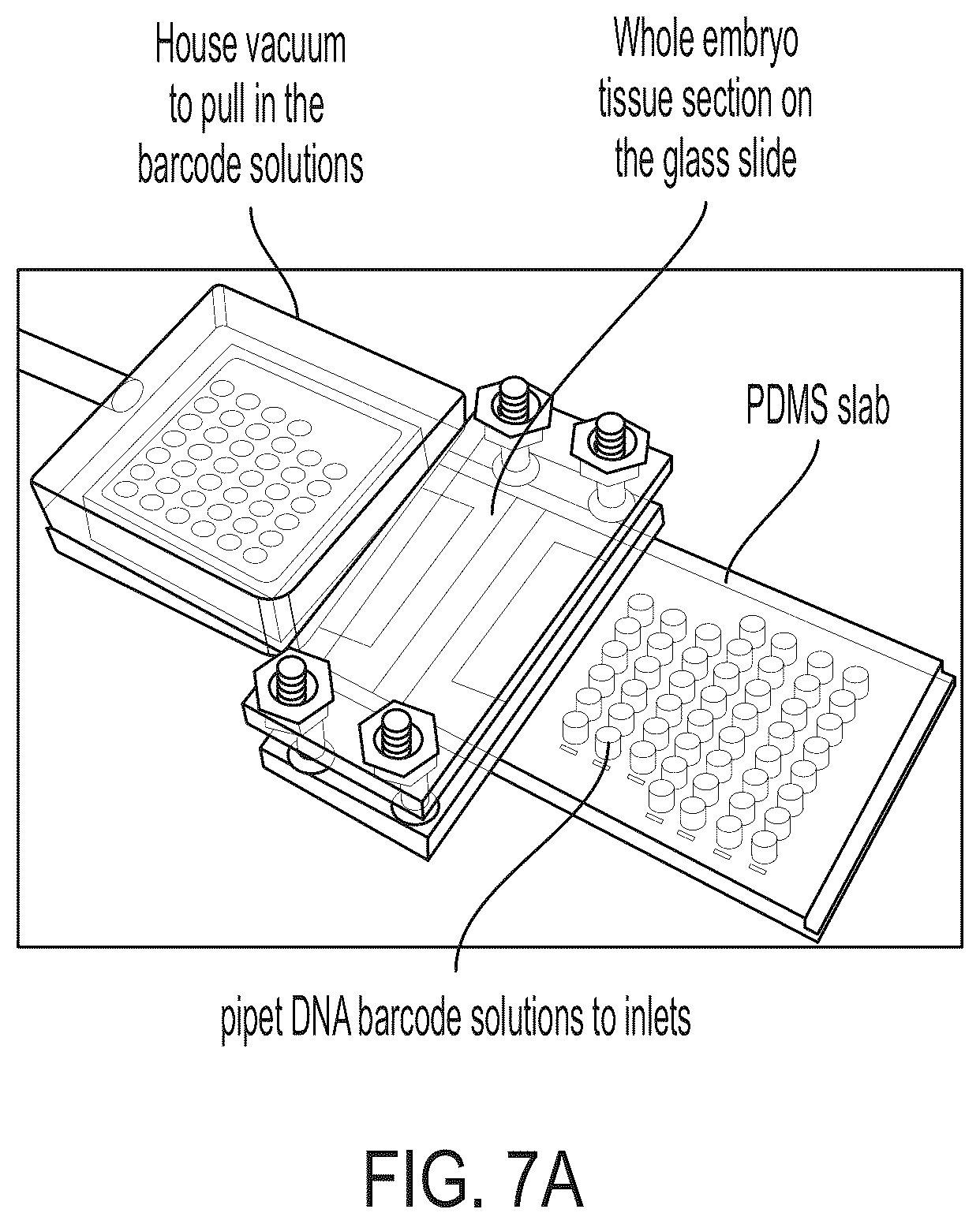 Patent US12157912 Figure 7 – Deterministic barcoding for spatial omics sequencing