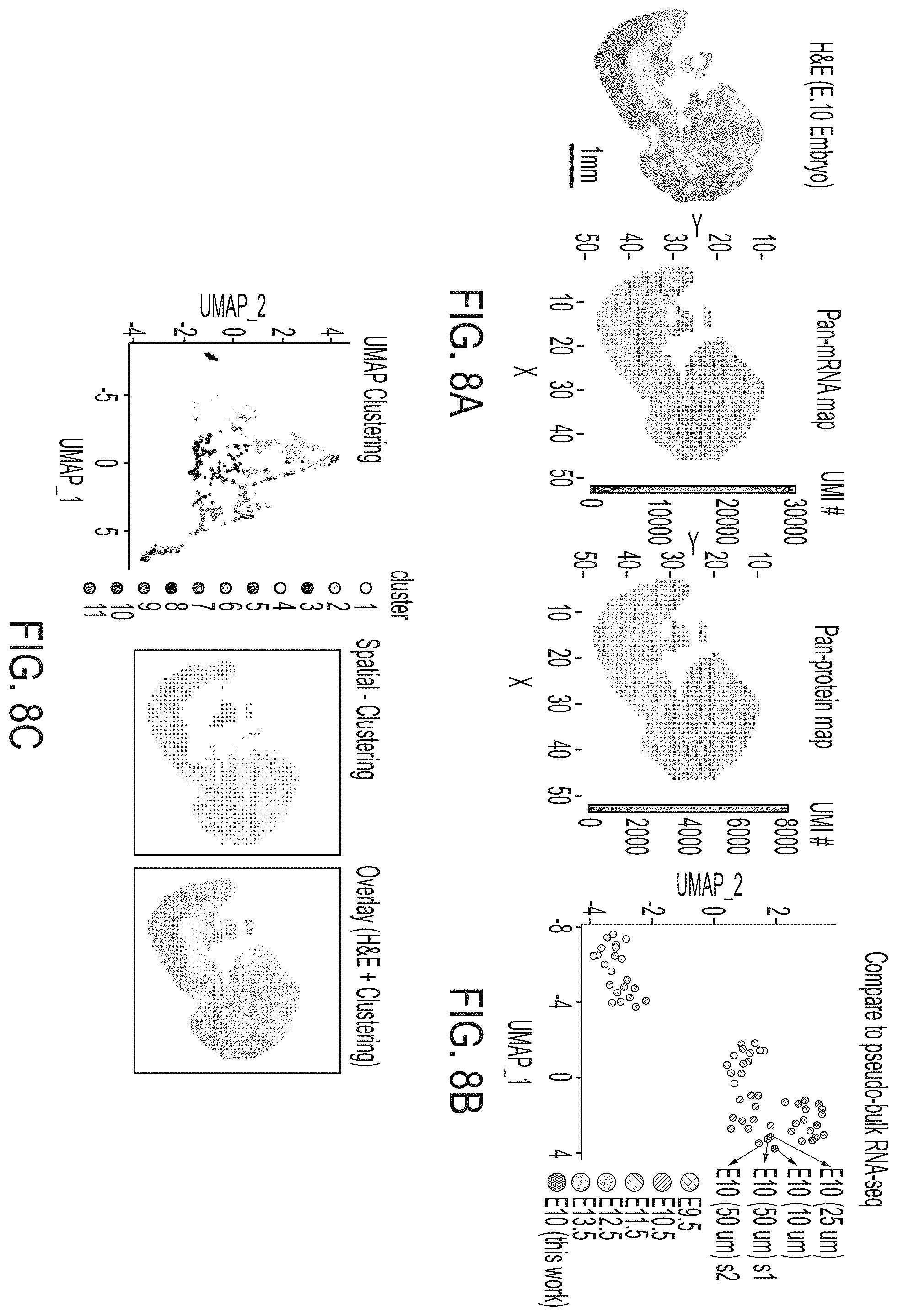 Patent US12157912 Figure 12 – Deterministic barcoding for spatial omics sequencing