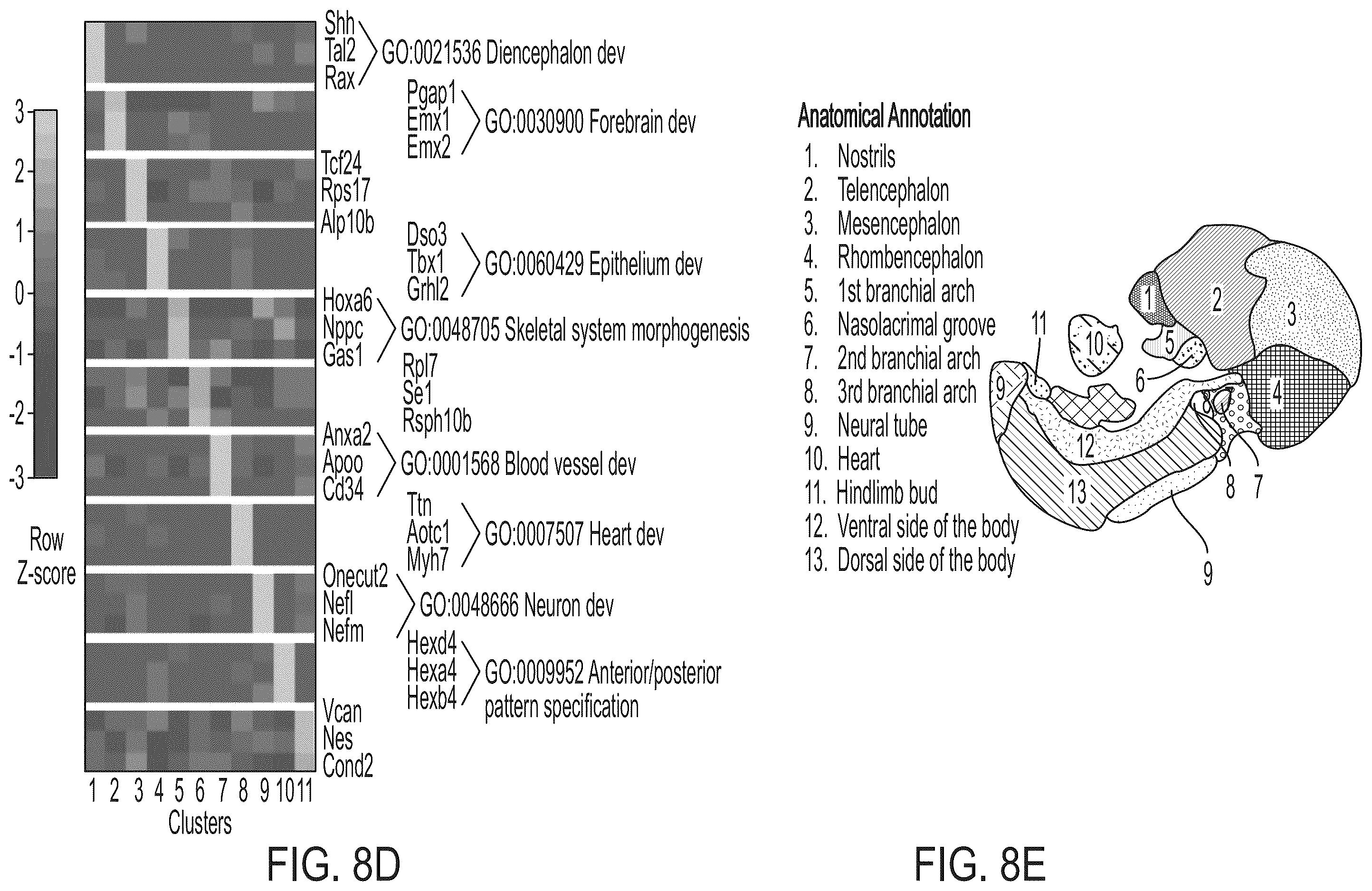 Patent US12157912 Figure 13 – Deterministic barcoding for spatial omics sequencing