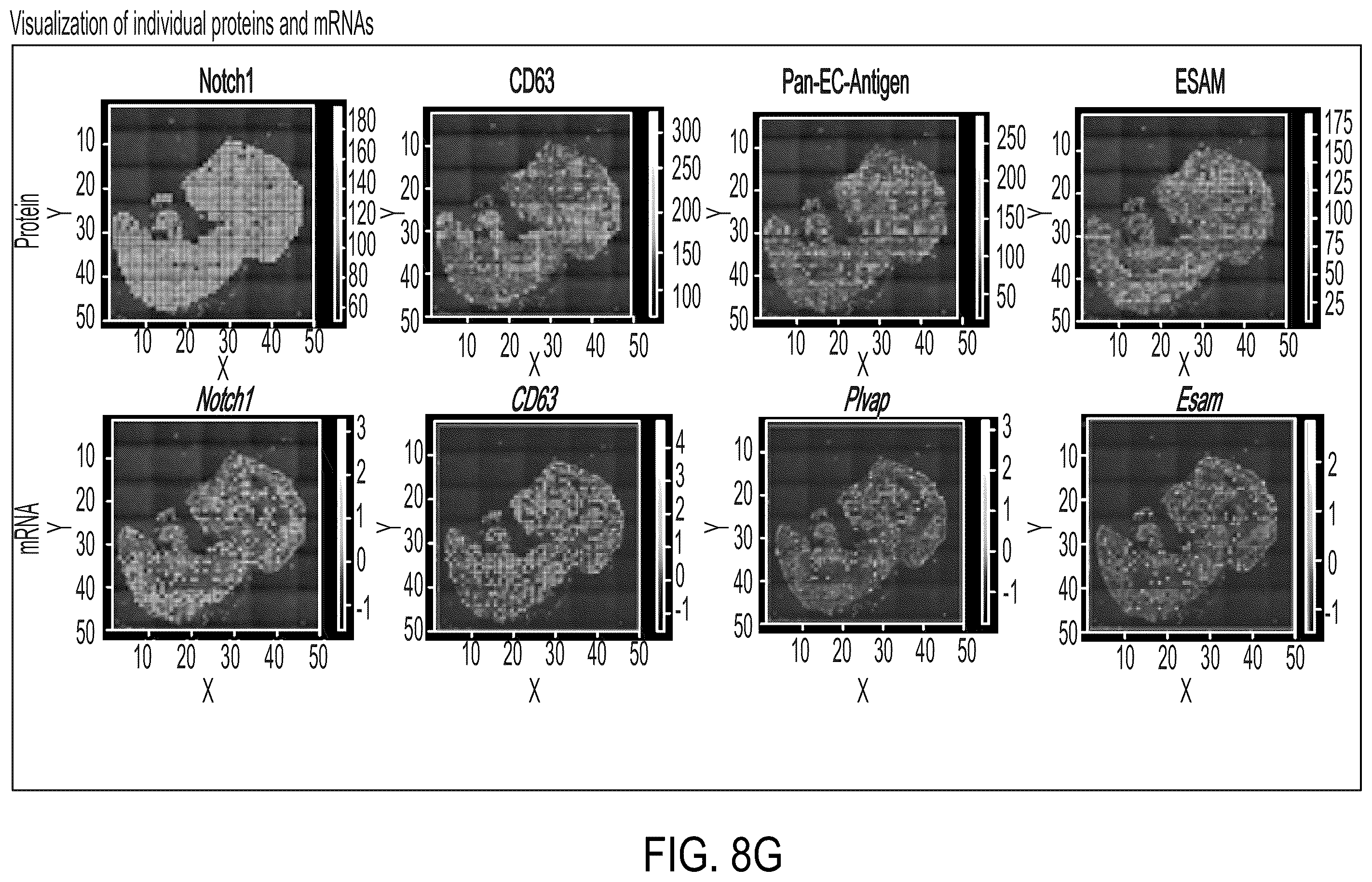 Patent US12157912 Figure 15 – Deterministic barcoding for spatial omics sequencing