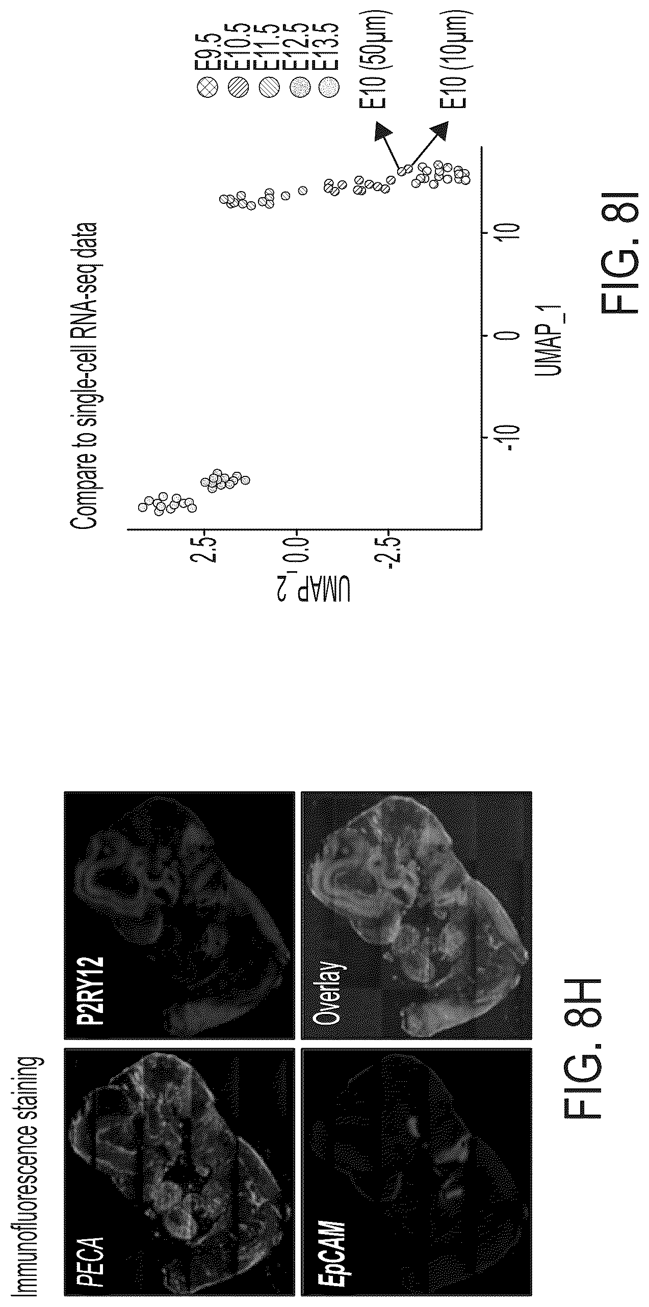 Patent US12157912 Figure 17 – Deterministic barcoding for spatial omics sequencing