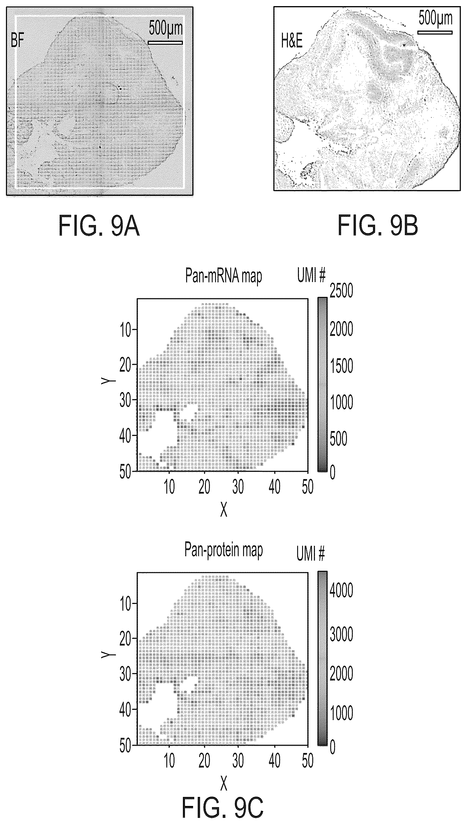 Patent US12157912 Figure 18 – Deterministic barcoding for spatial omics sequencing