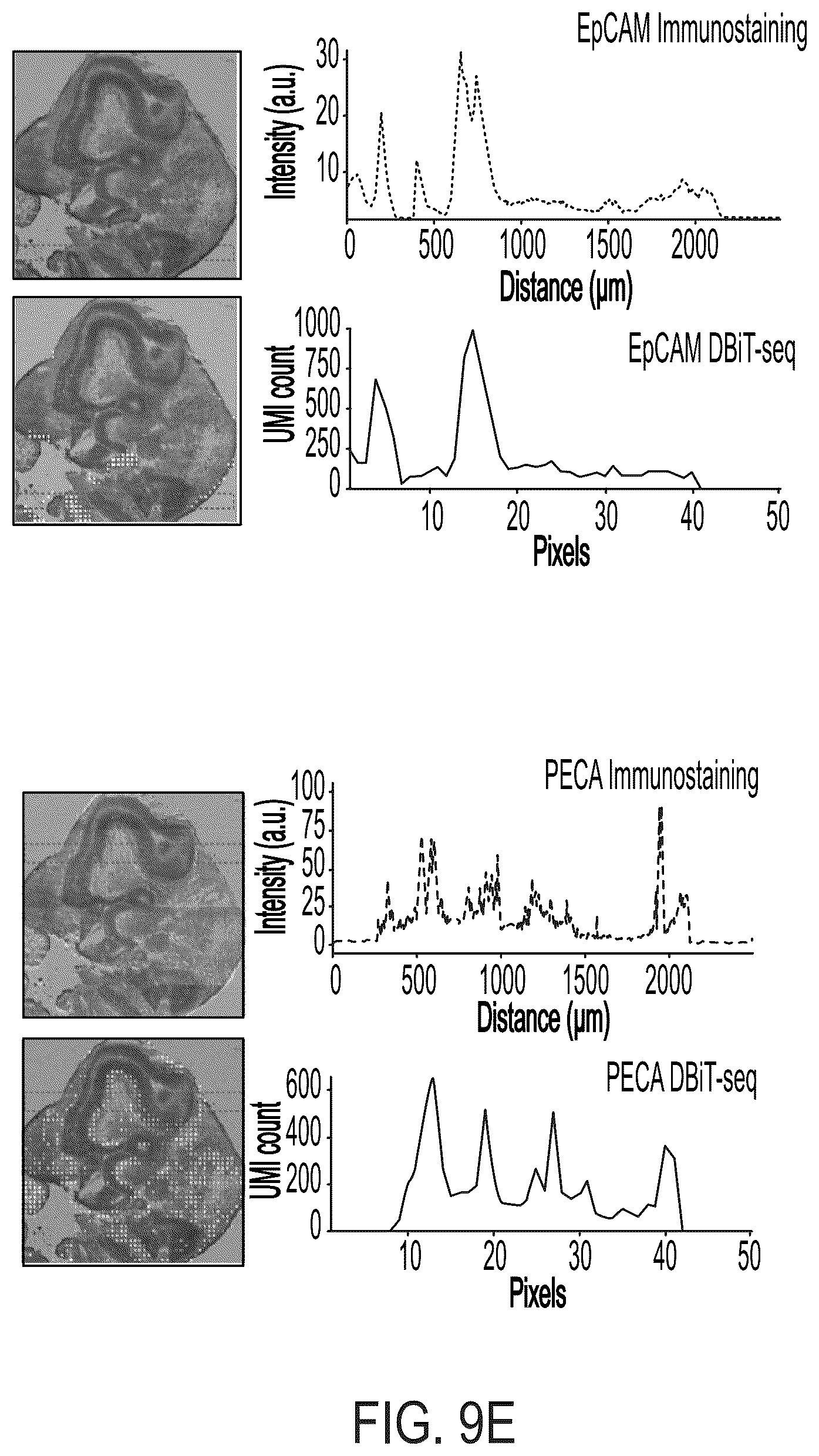 Patent US12157912 Figure 20 – Deterministic barcoding for spatial omics sequencing