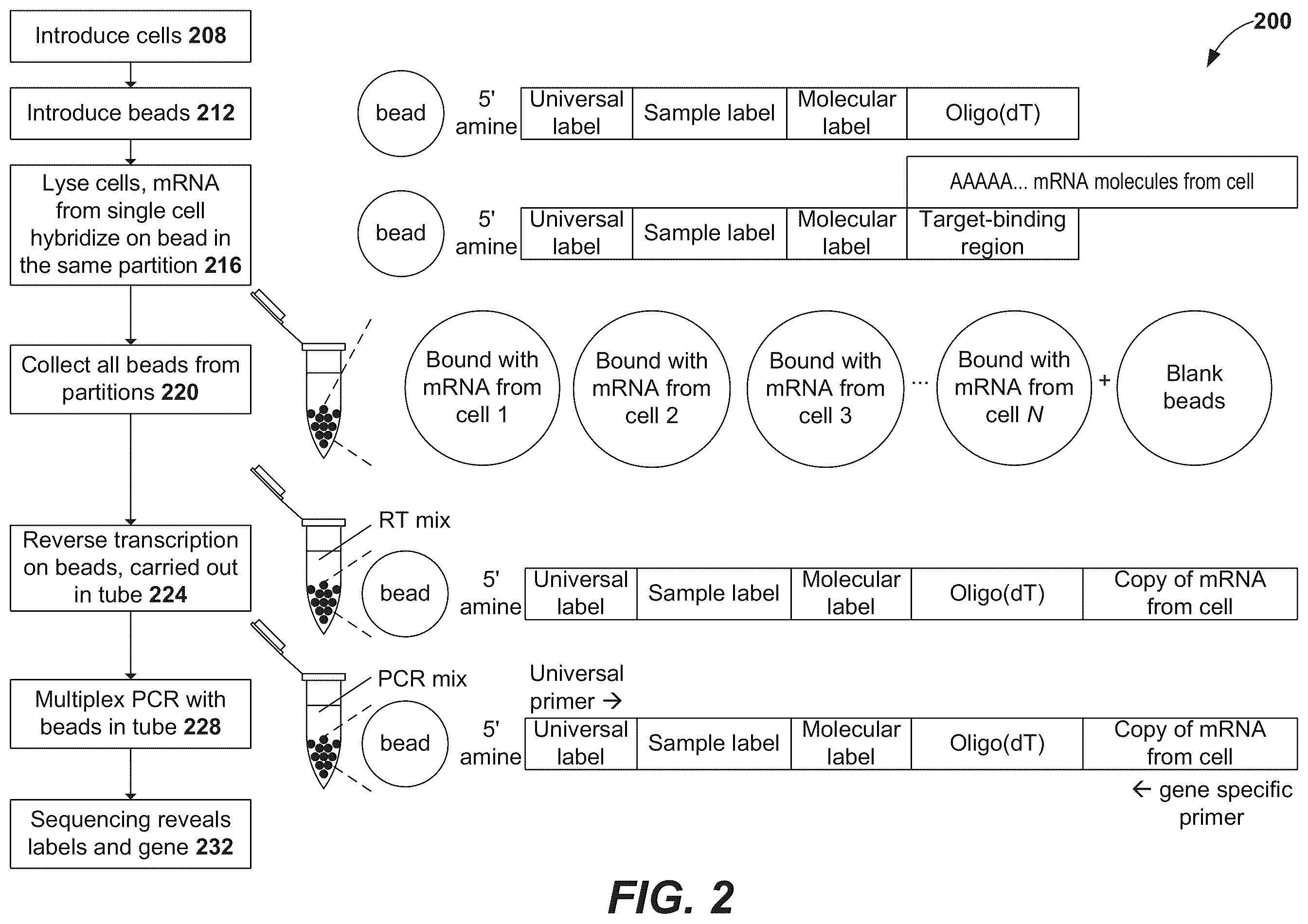 Patent US12157913 Figure 2 – Oligonucleotides and beads for 5 prime gene expression assay
