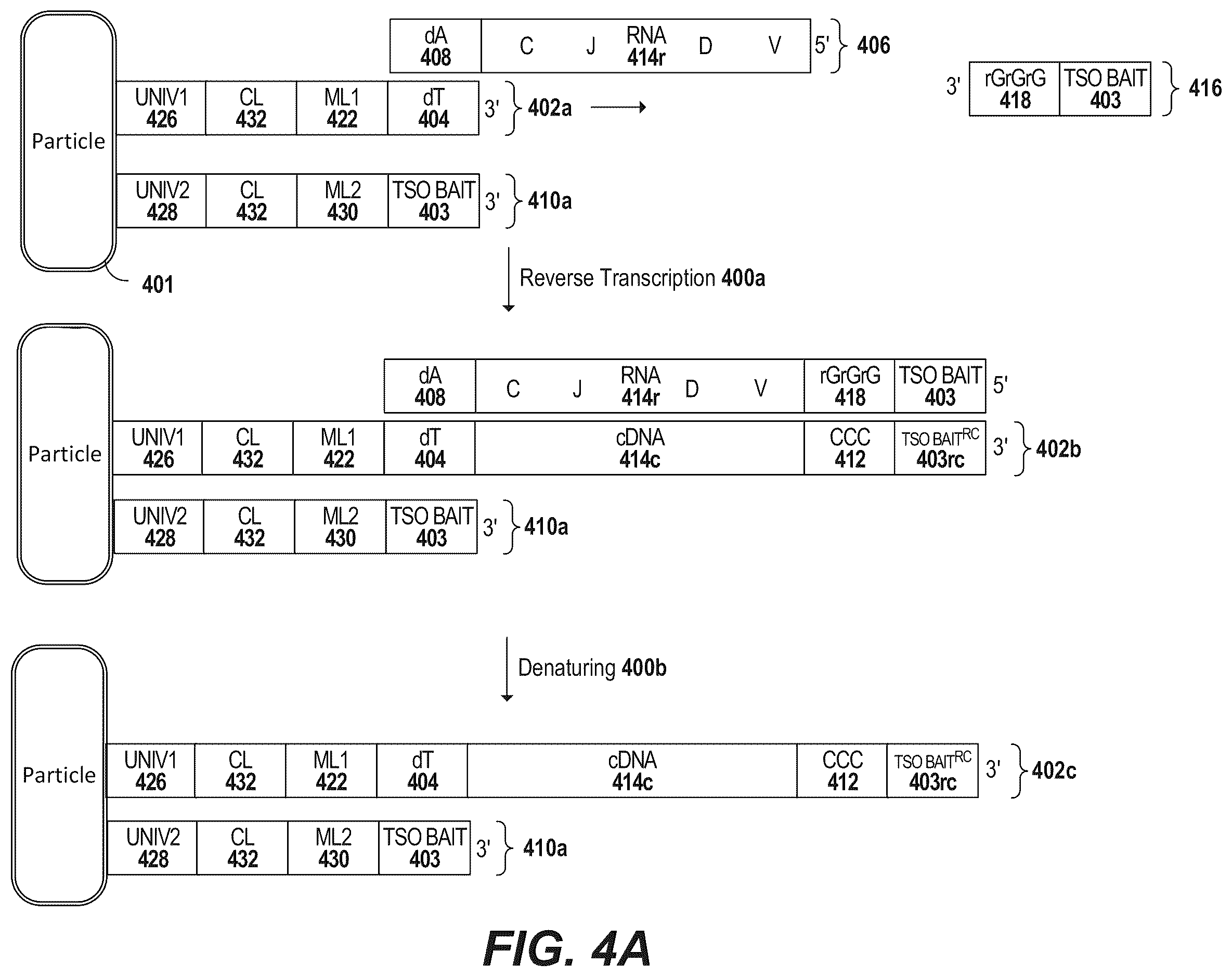 Patent US12157913 Figure 4 – Oligonucleotides and beads for 5 prime gene expression assay