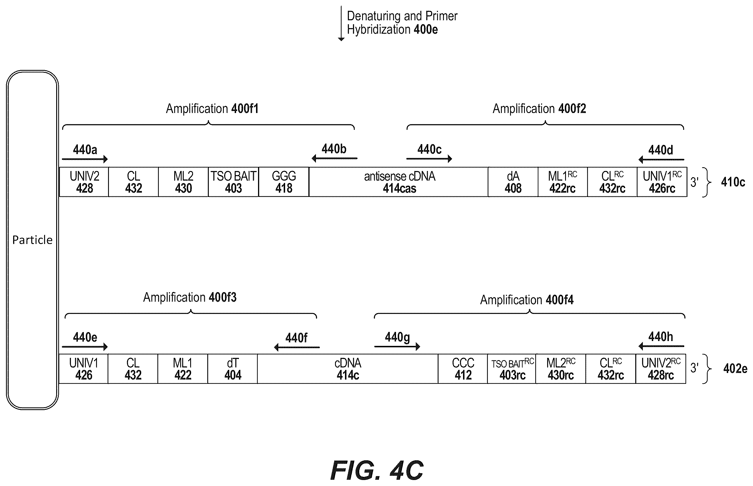 Patent US12157913 Figure 6 – Oligonucleotides and beads for 5 prime gene expression assay