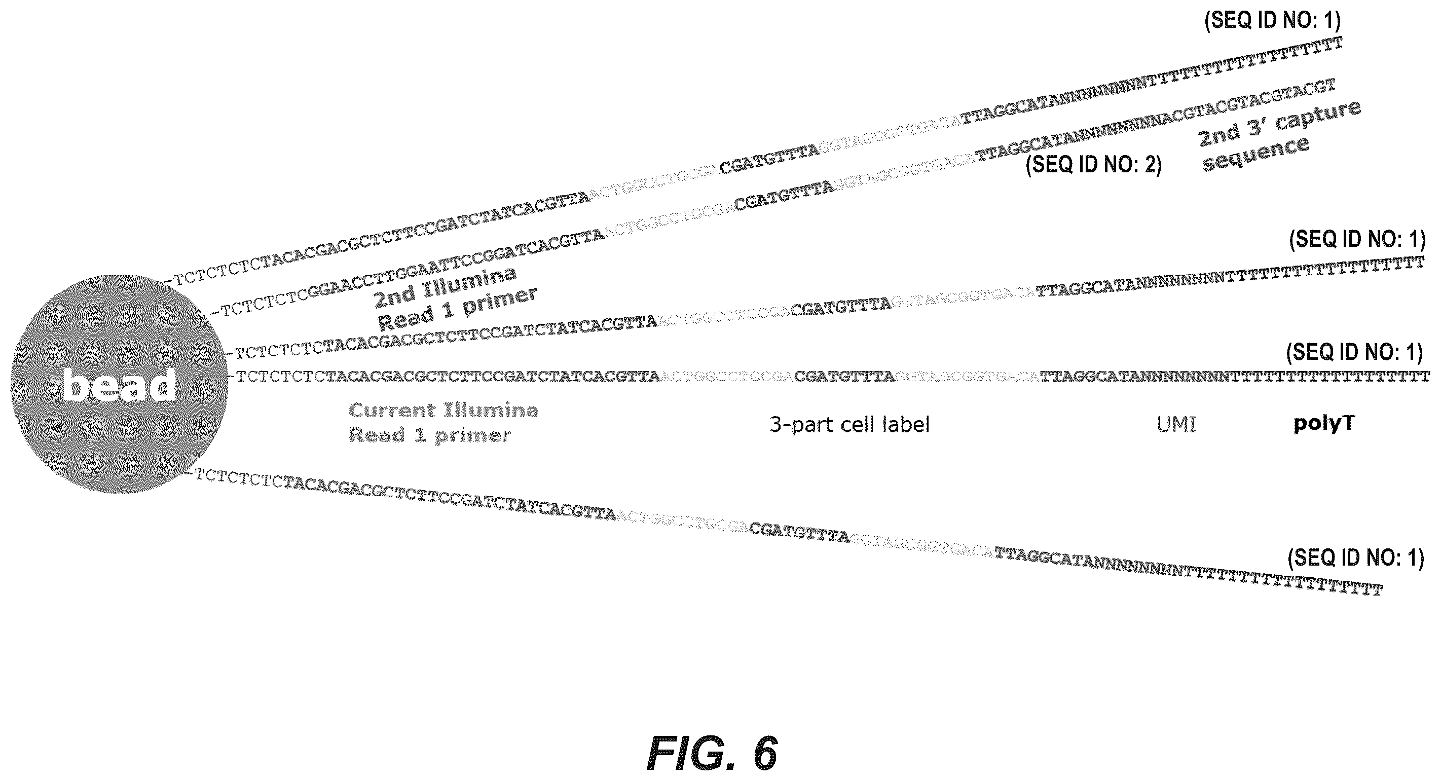 Patent US12157913 Figure 8 – Oligonucleotides and beads for 5 prime gene expression assay