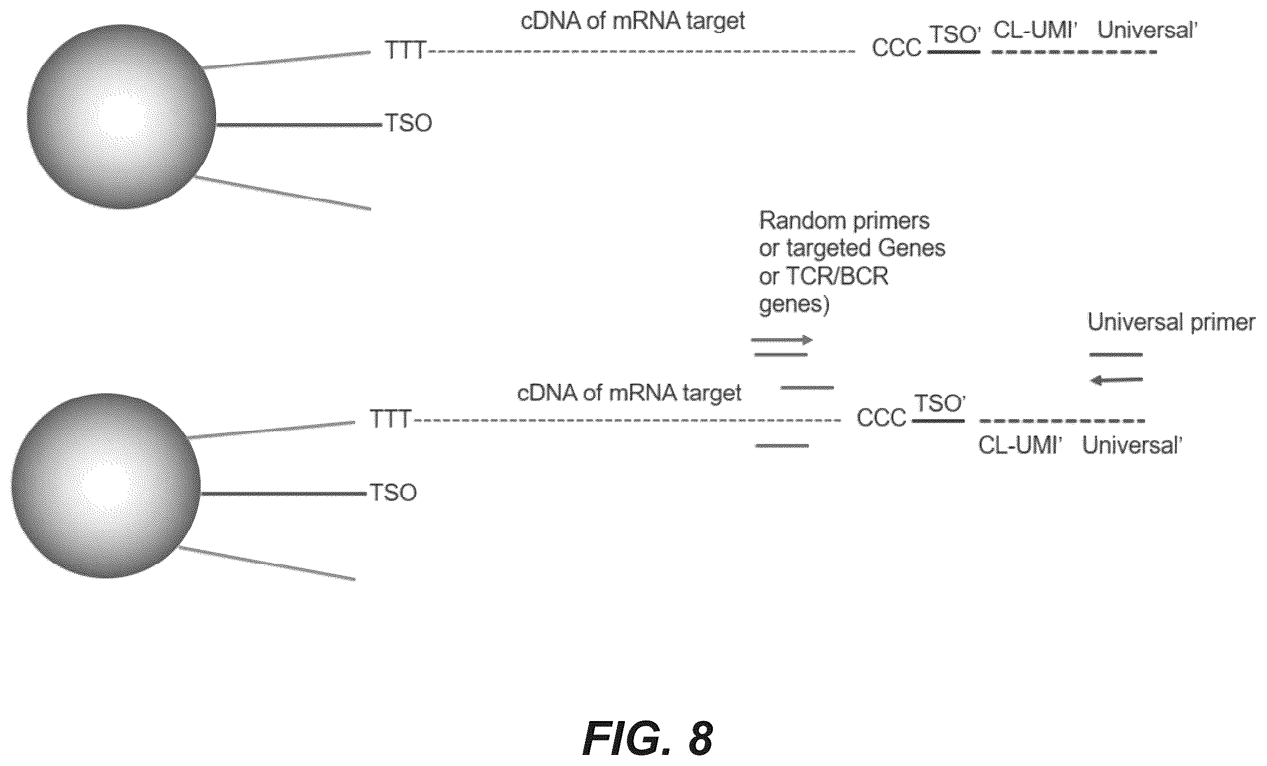 Patent US12157913 Figure 10 – Oligonucleotides and beads for 5 prime gene expression assay