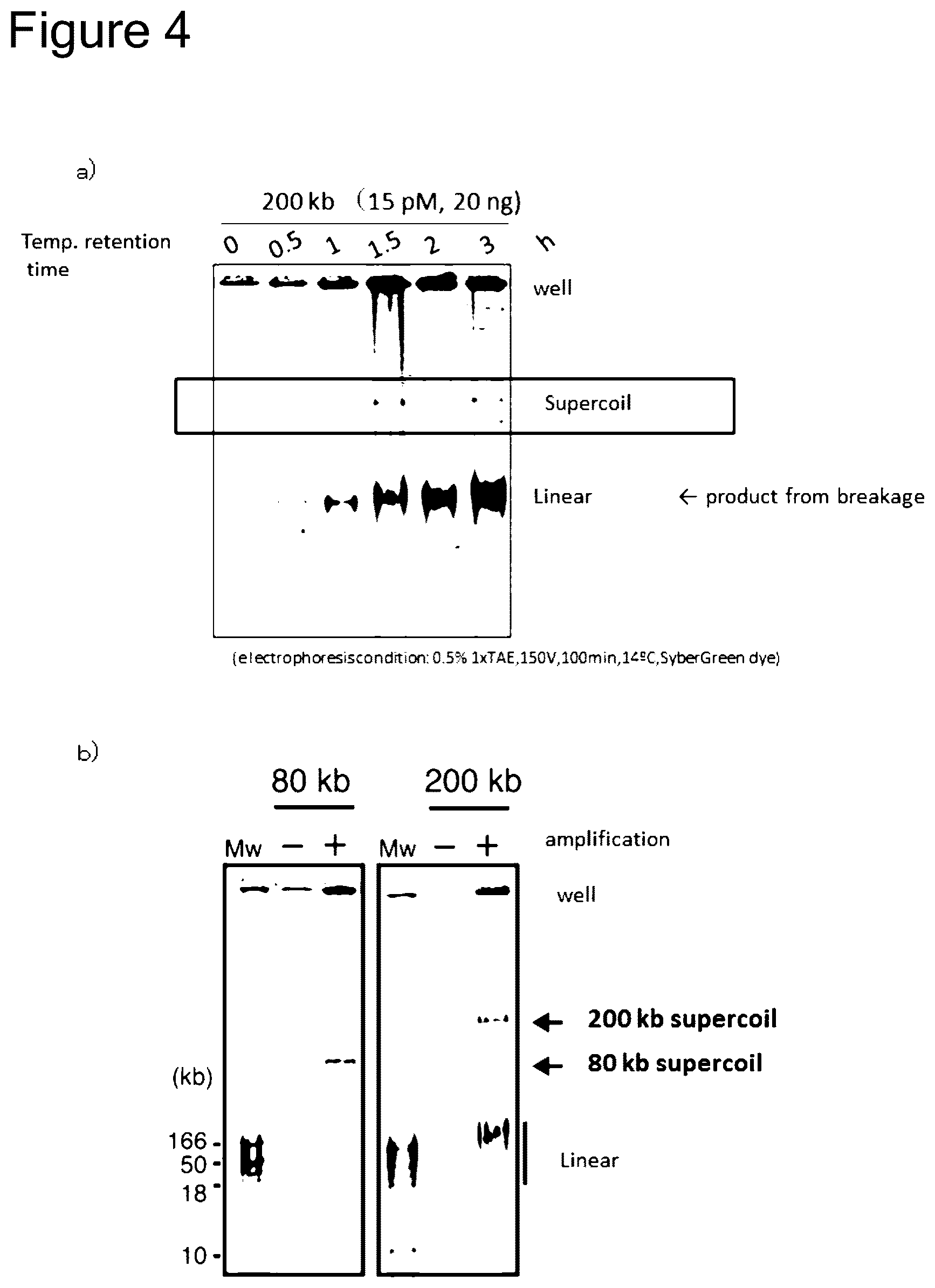 Patent US12157915 Figure 3 – Method of amplifying circular DNA