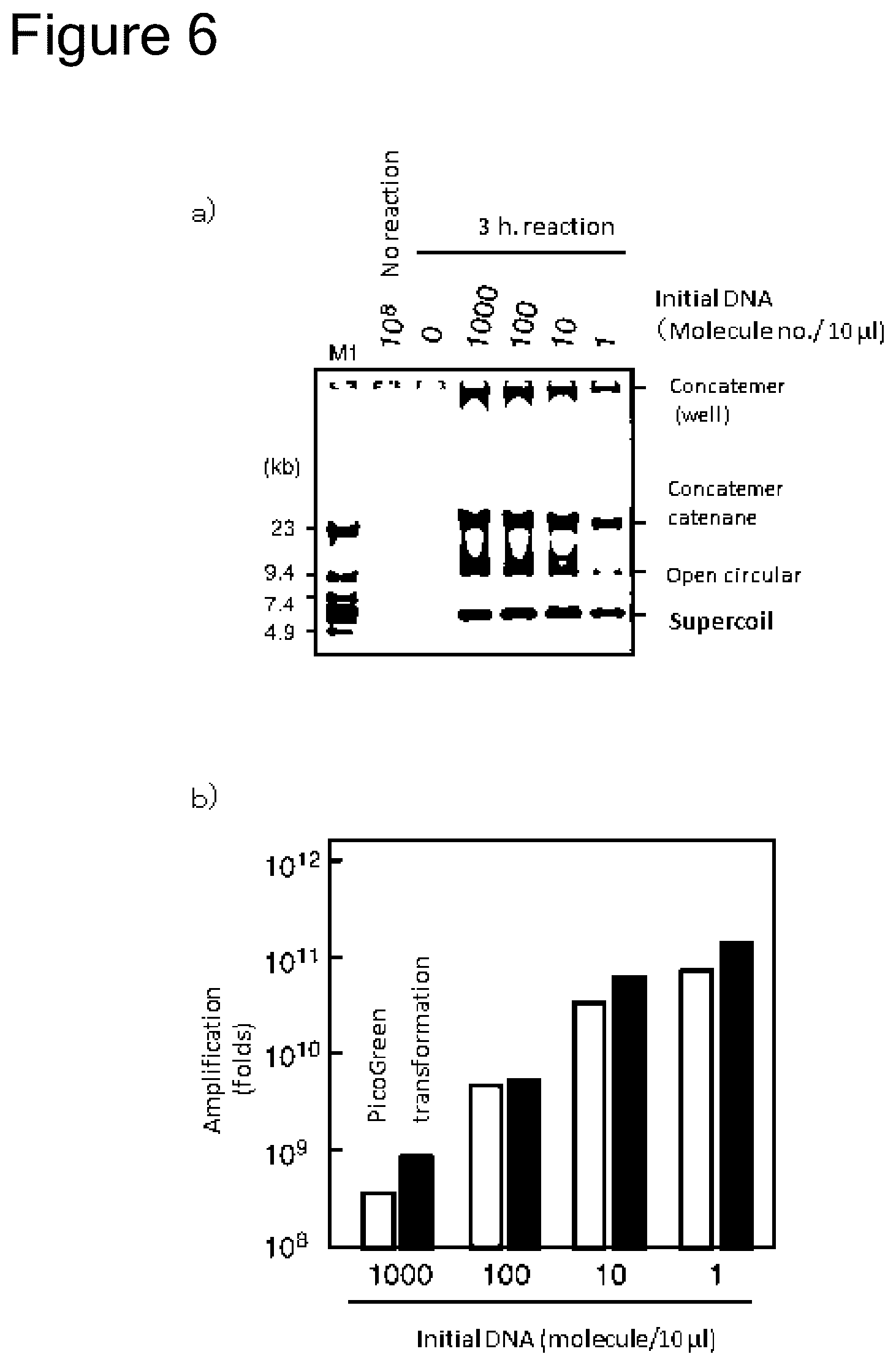 Patent US12157915 Figure 5 – Method of amplifying circular DNA