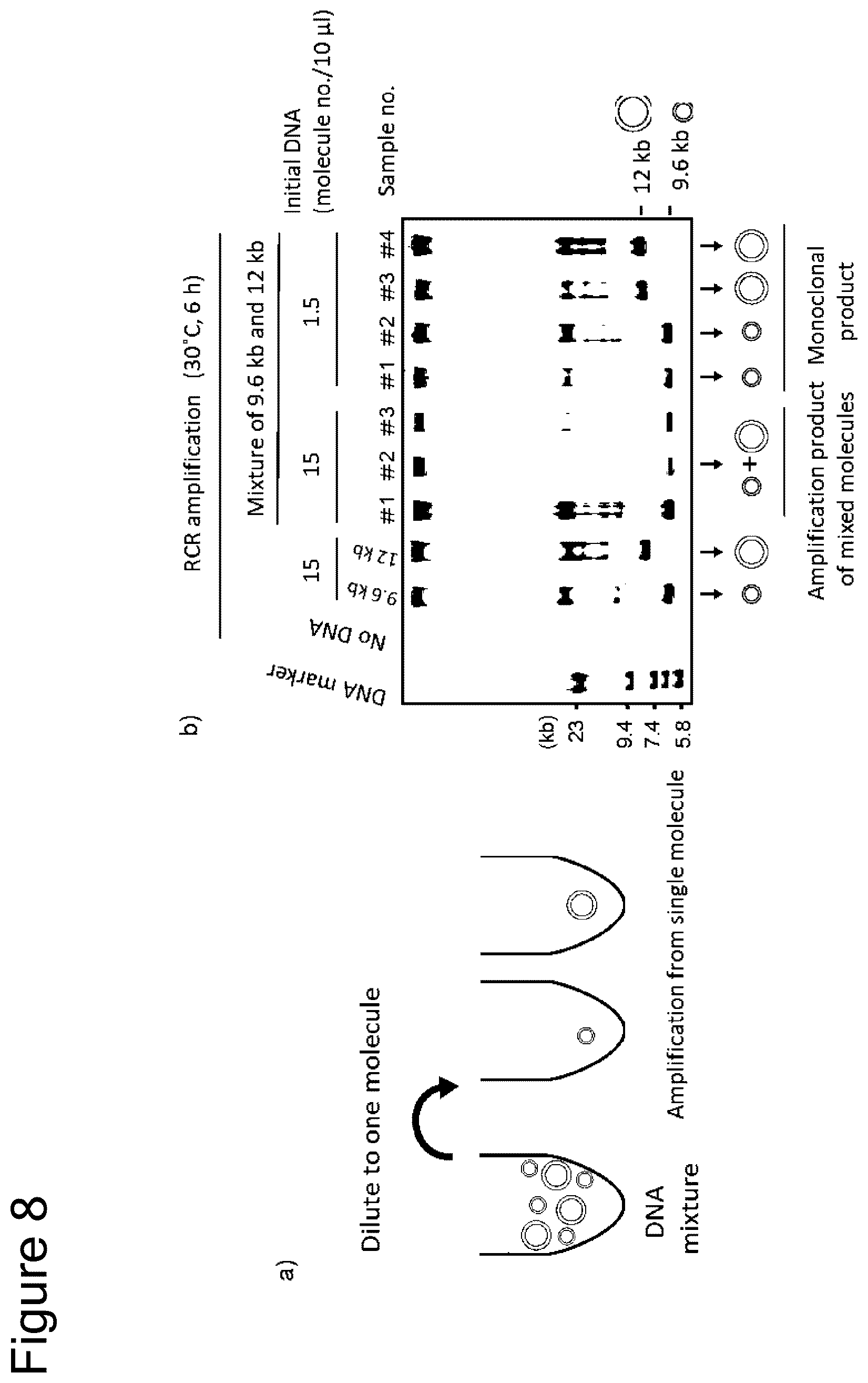Patent US12157915 Figure 7 – Method of amplifying circular DNA