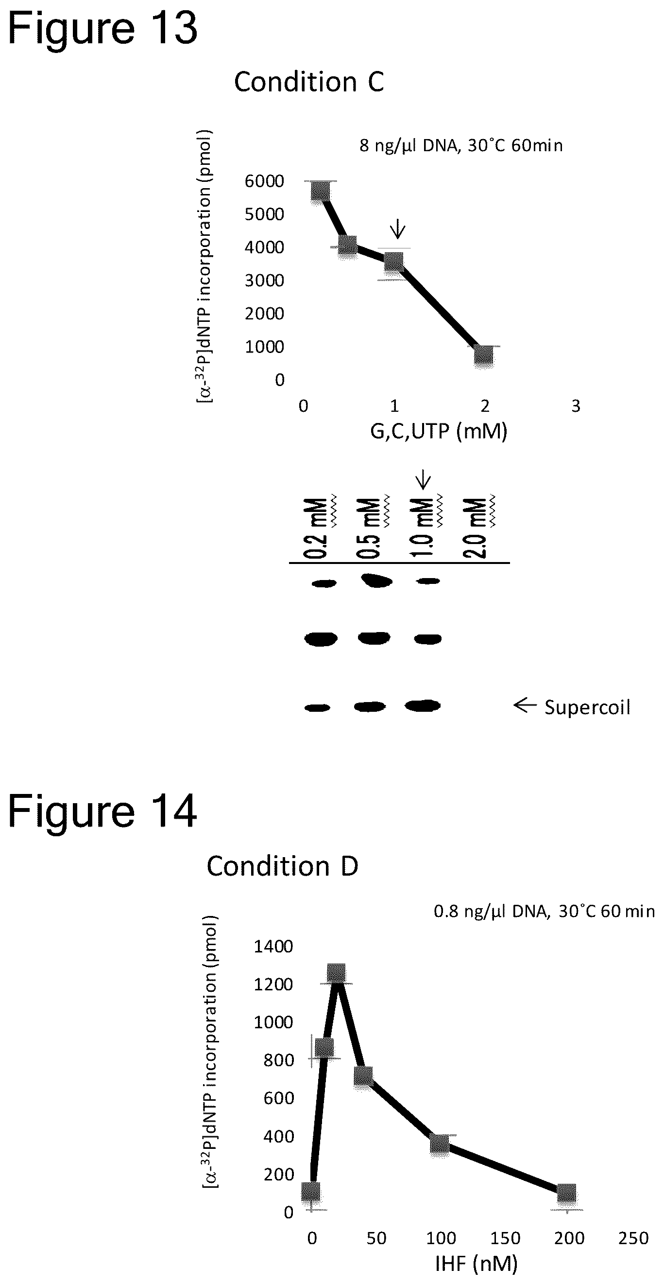 Patent US12157915 Figure 11 – Method of amplifying circular DNA
