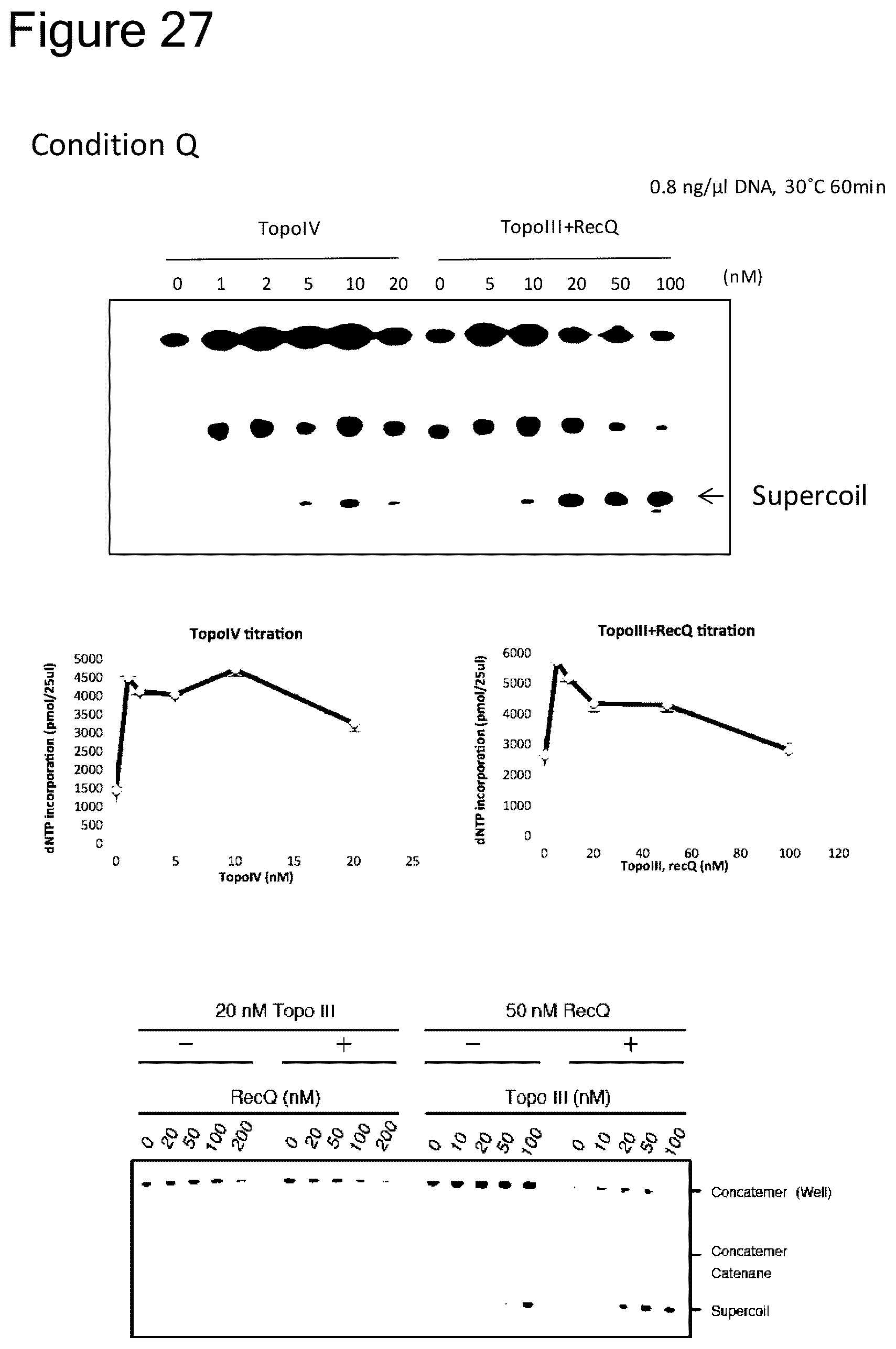 Patent US12157915 Figure 18 – Method of amplifying circular DNA
