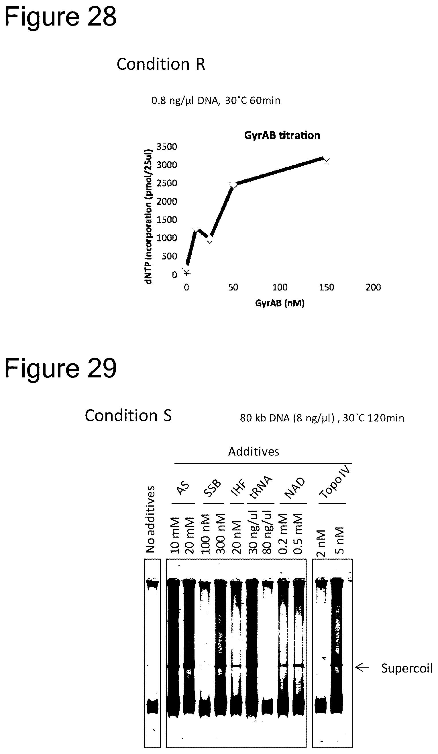 Patent US12157915 Figure 19 – Method of amplifying circular DNA