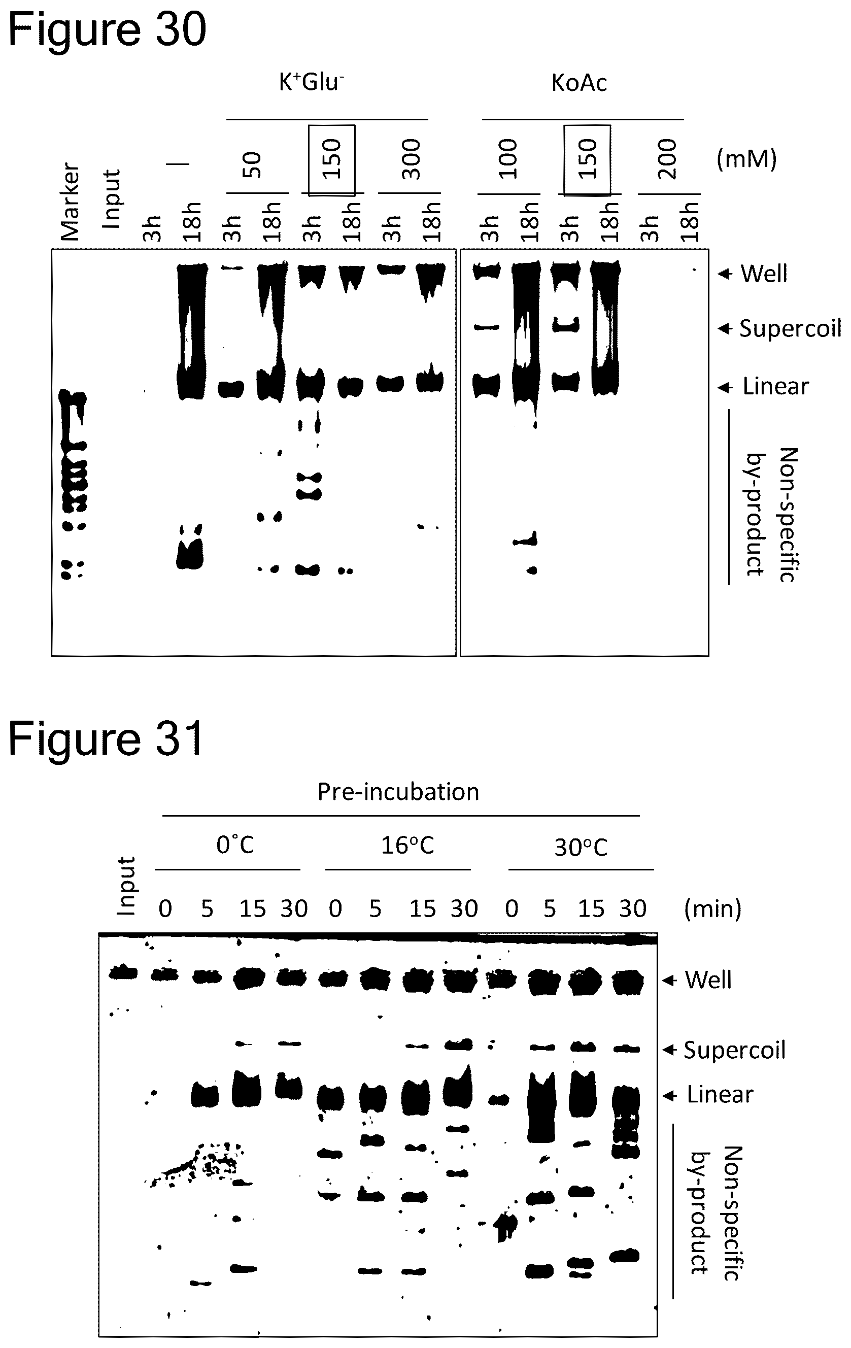 Patent US12157915 Figure 20 – Method of amplifying circular DNA