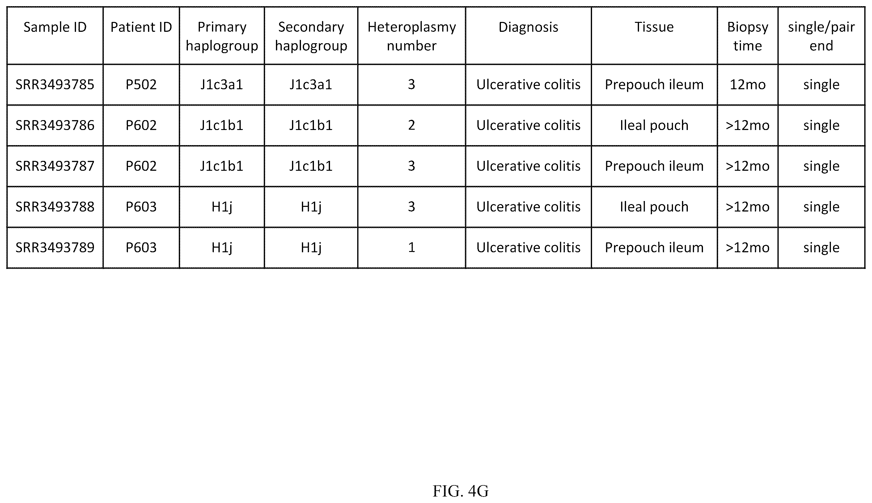 Patent US12157916 Figure 11 – Mitochondrial DNA quality control