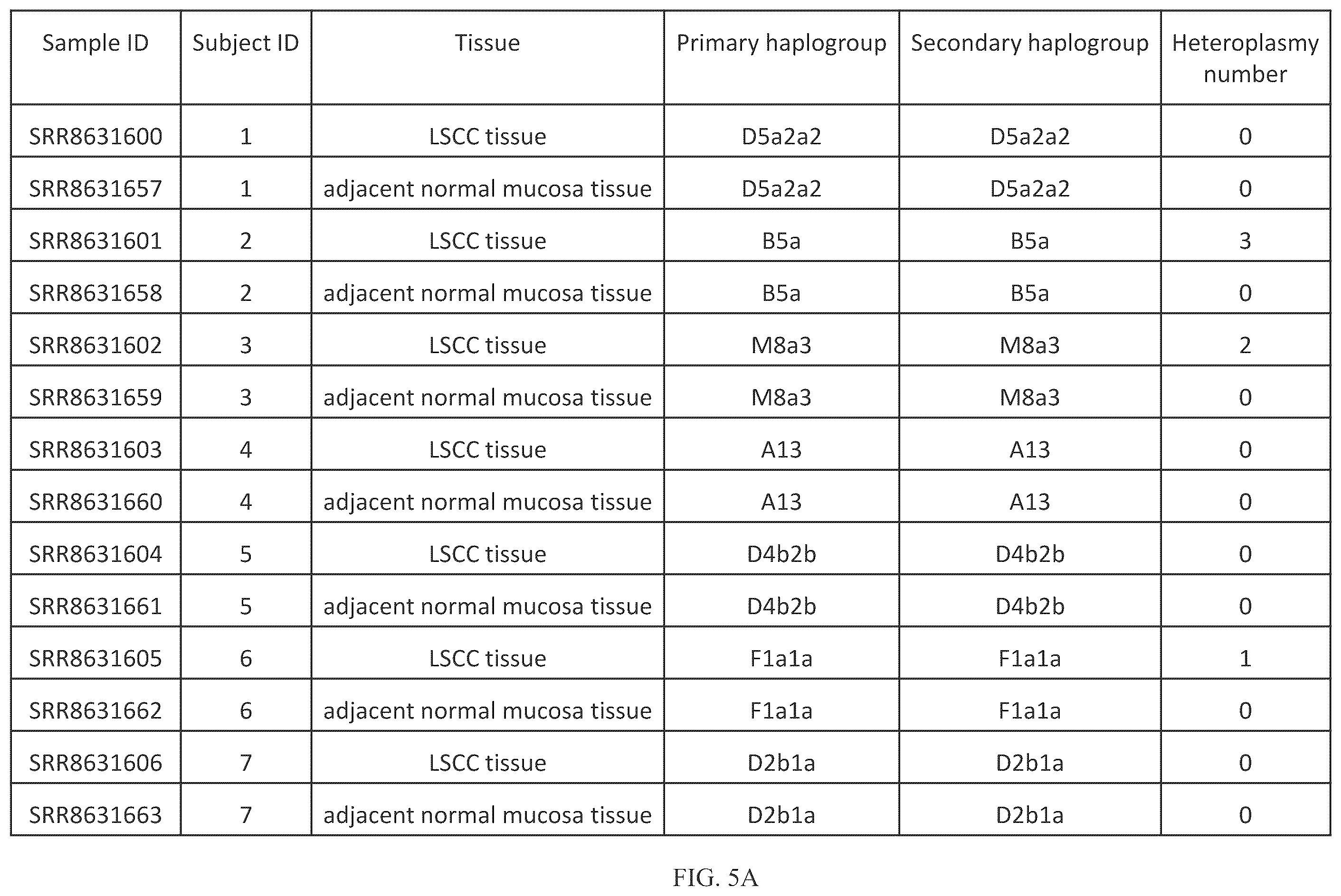 Patent US12157916 Figure 12 – Mitochondrial DNA quality control
