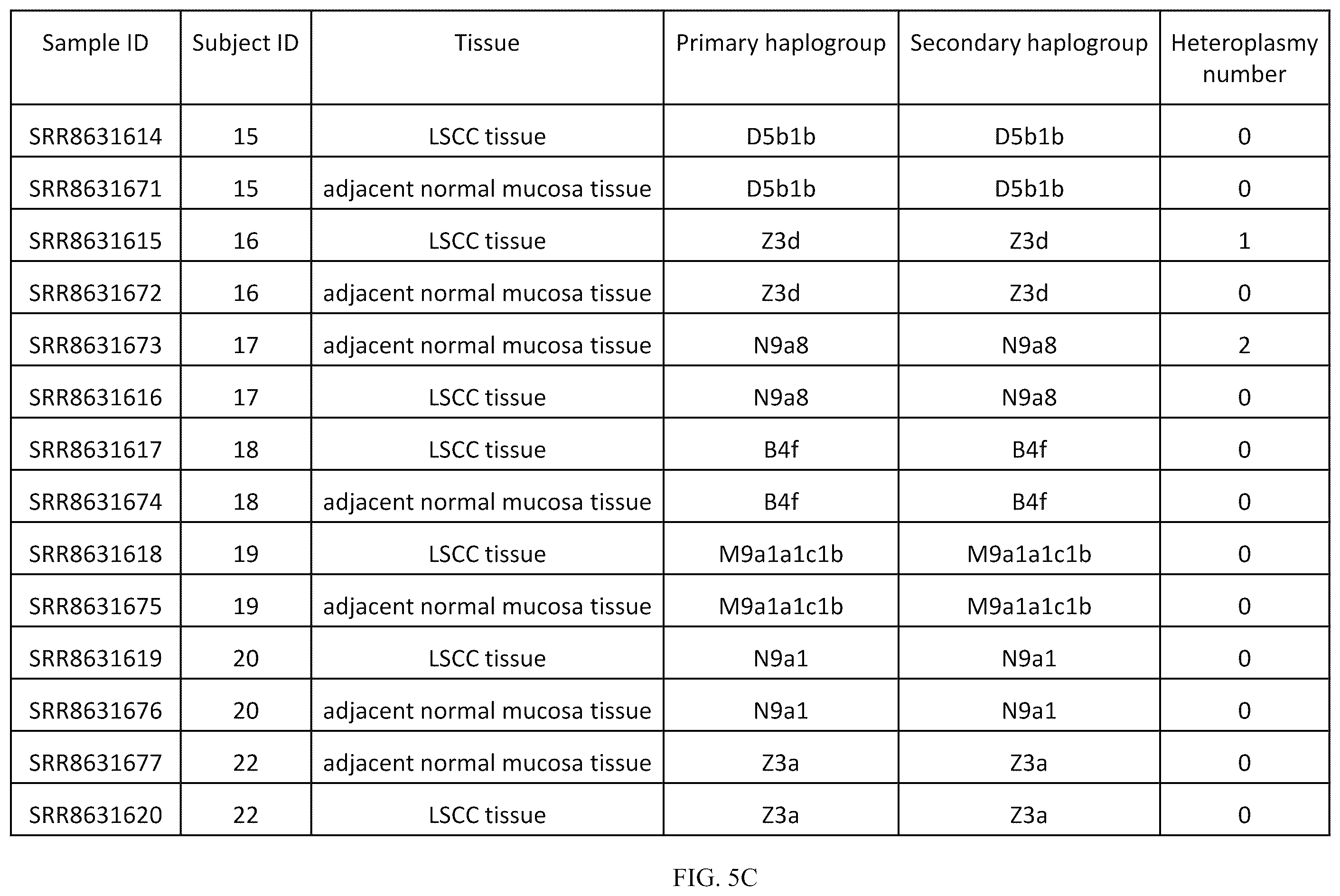 Patent US12157916 Figure 14 – Mitochondrial DNA quality control
