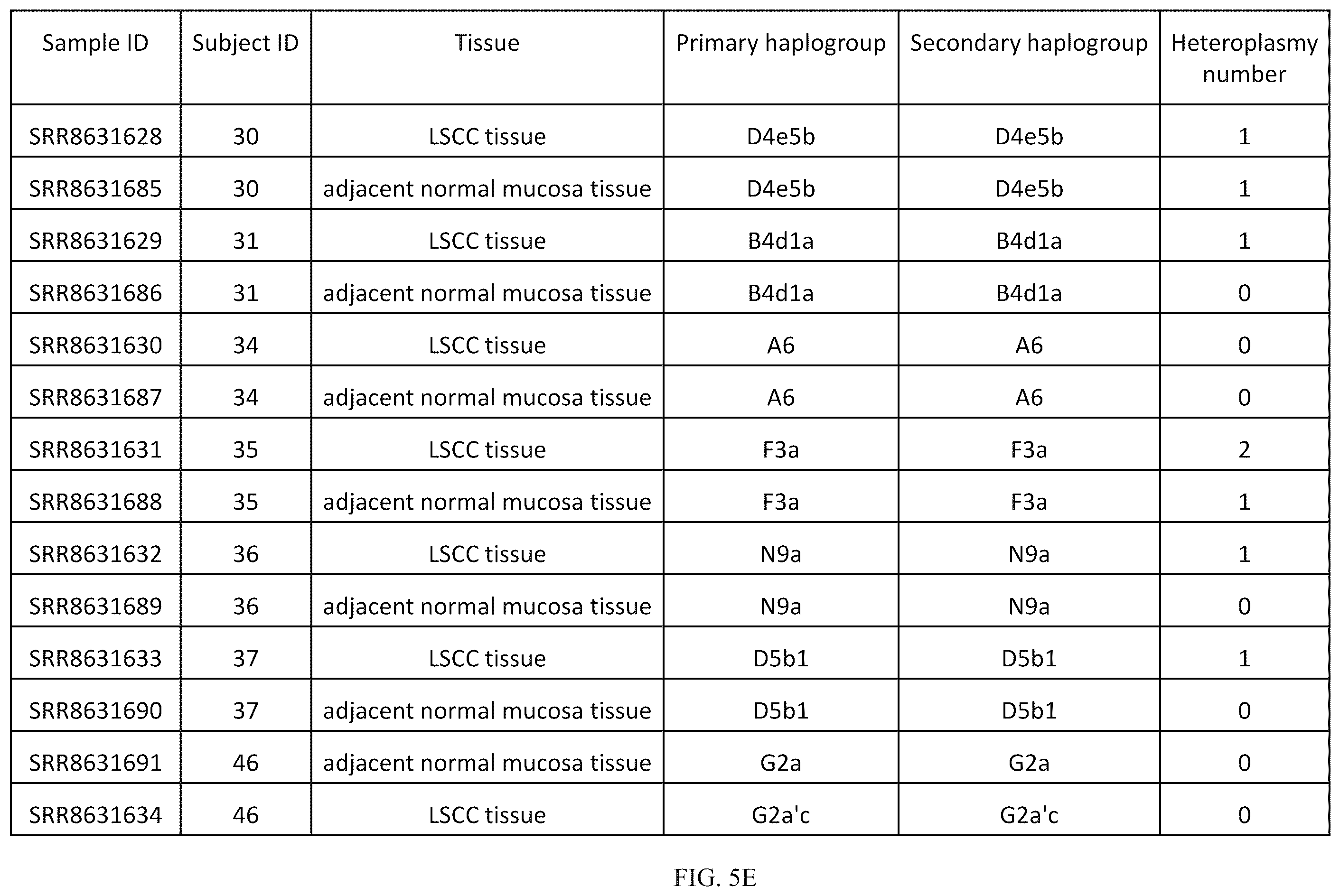 Patent US12157916 Figure 16 – Mitochondrial DNA quality control