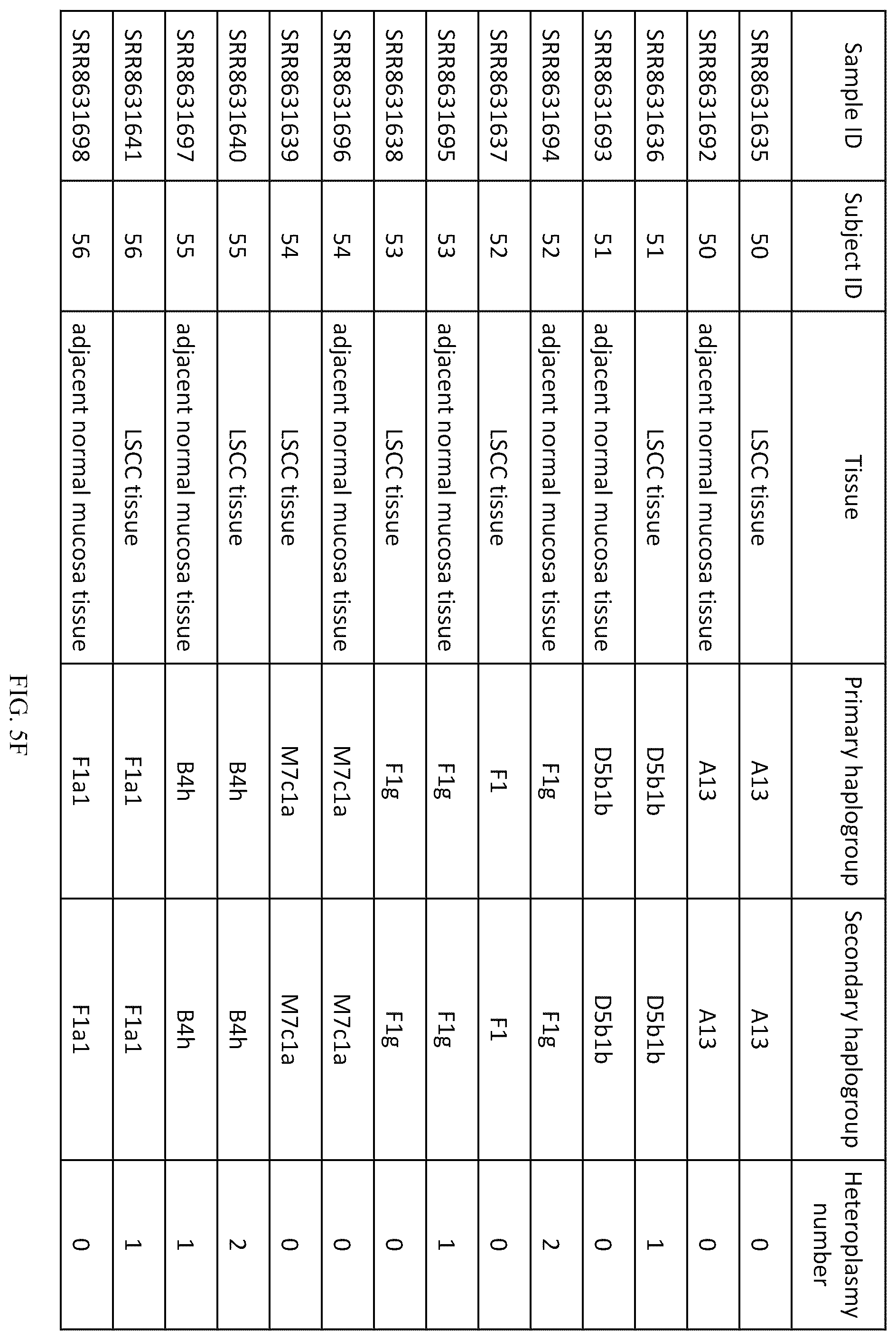 Patent US12157916 Figure 17 – Mitochondrial DNA quality control