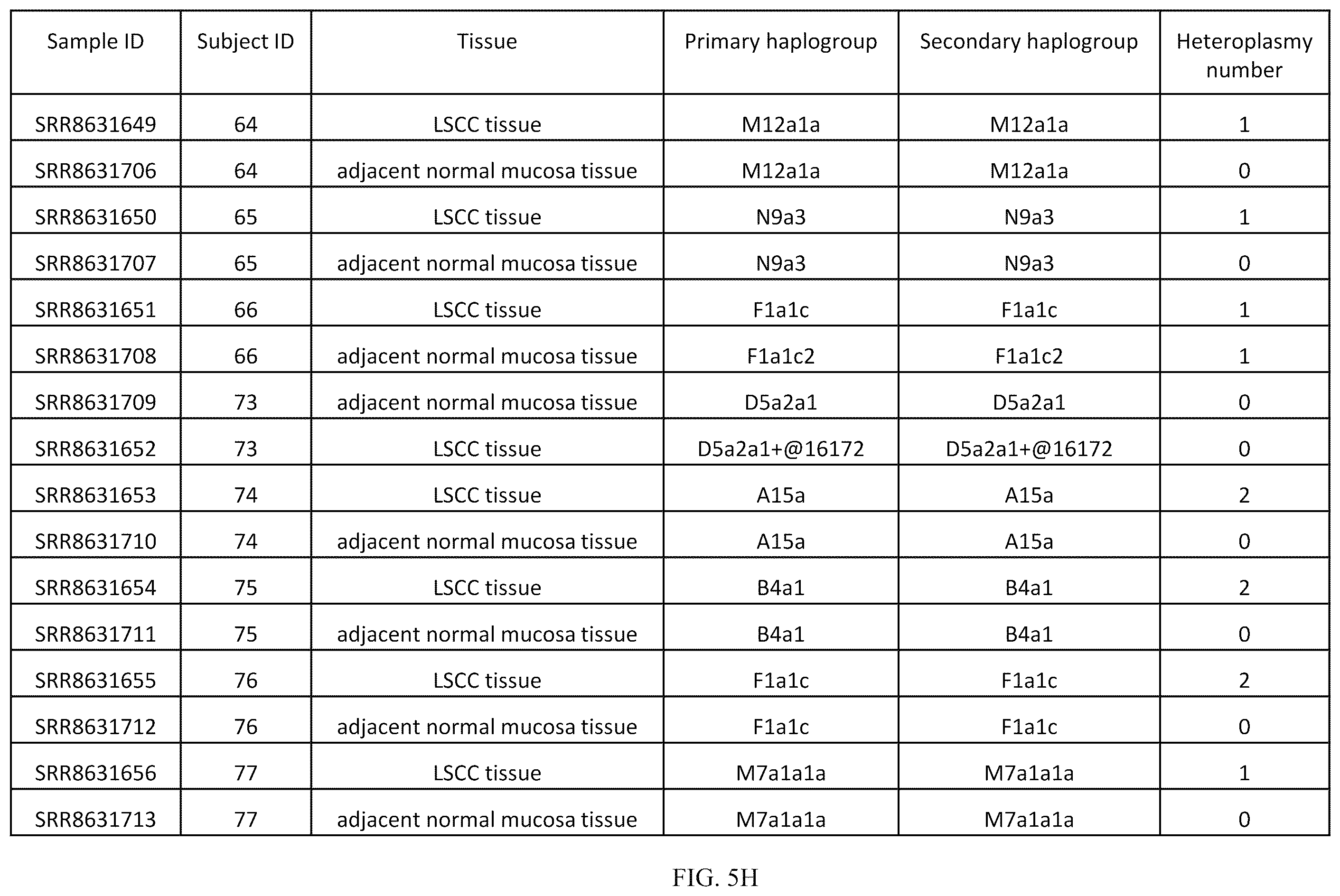 Patent US12157916 Figure 19 – Mitochondrial DNA quality control