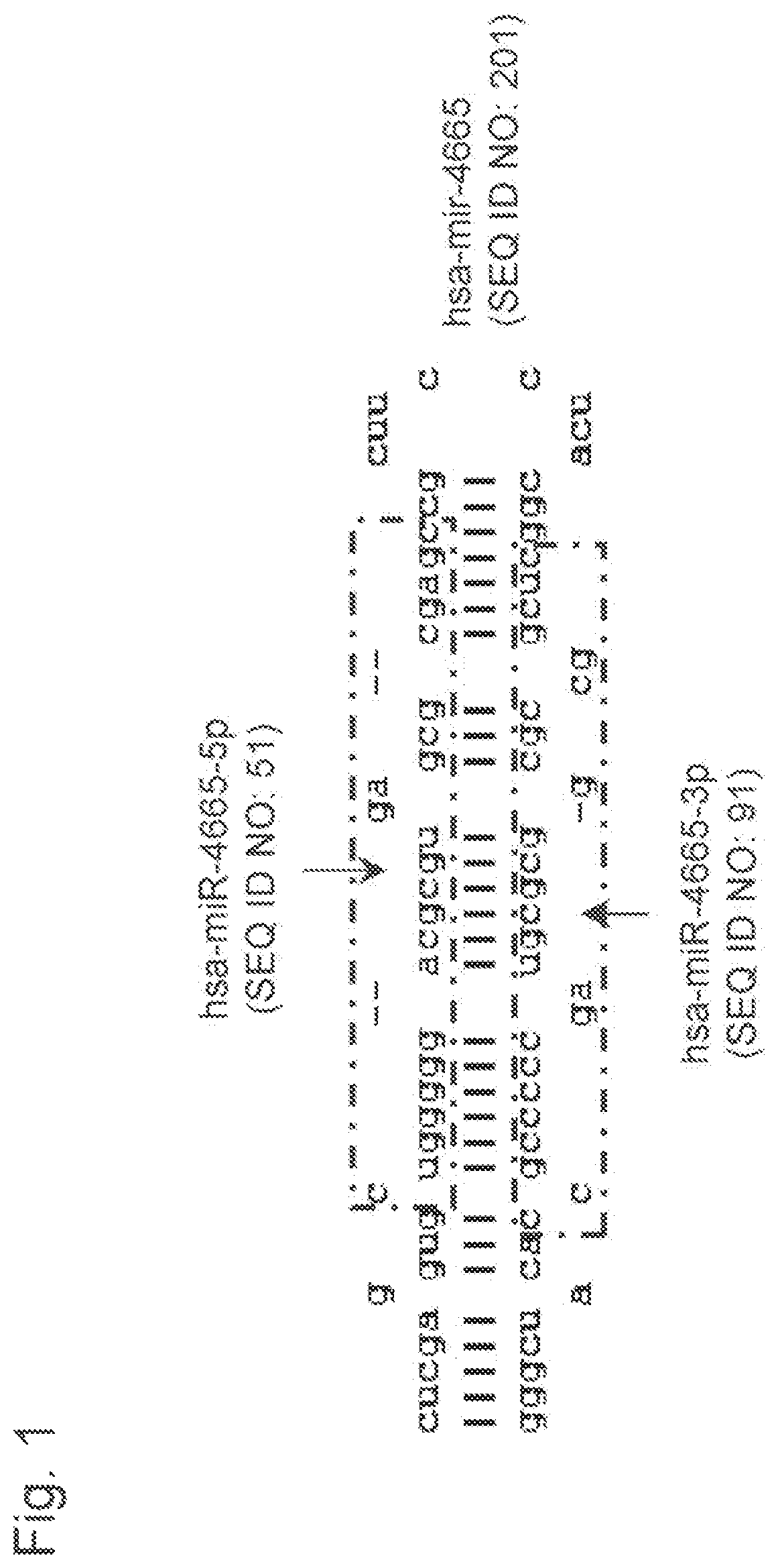 Patent US12157919 Figure 1 – Biliary tract cancer detection kit or device, and detection method