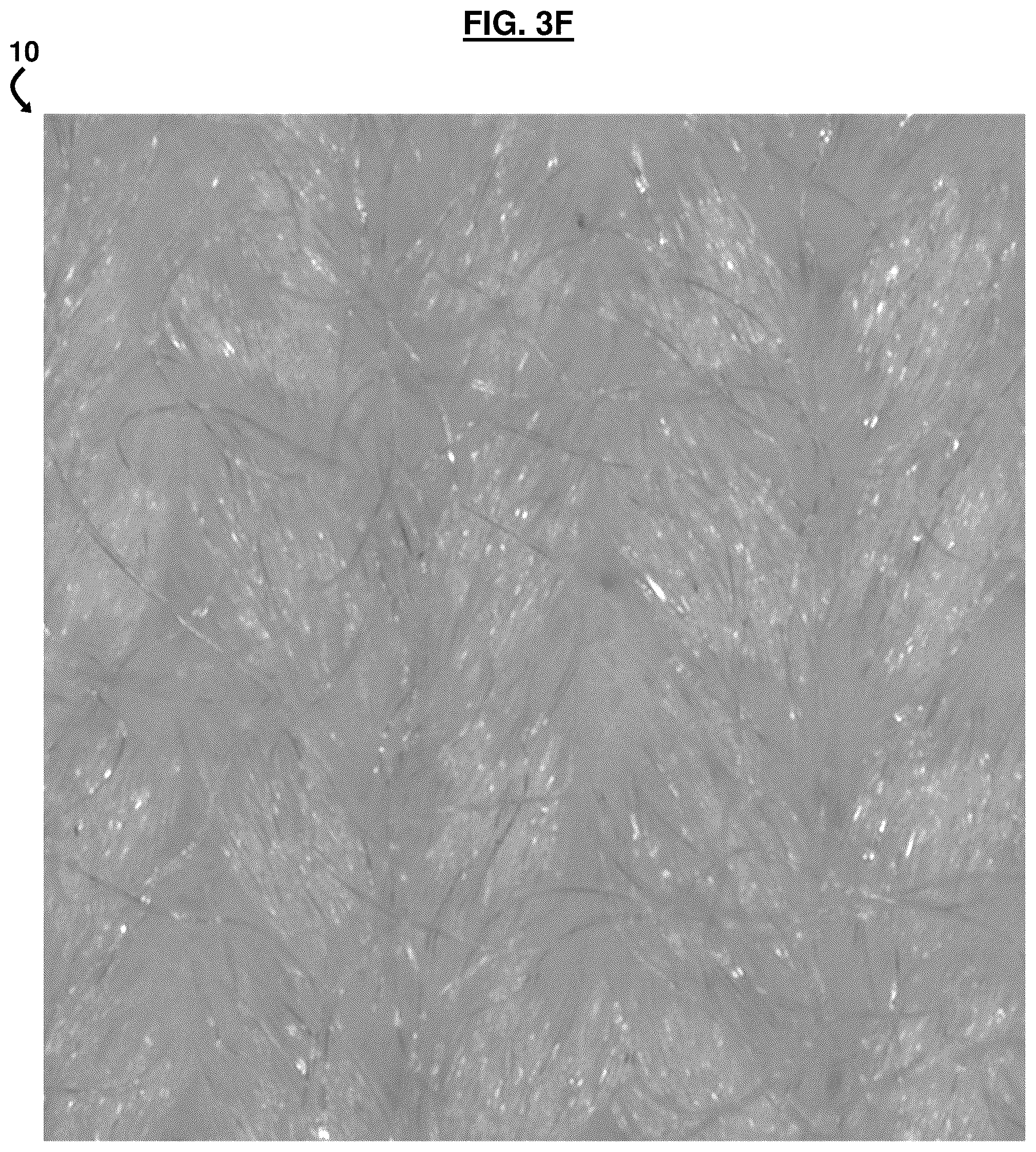 Patent US12157958 Figure 10 – Ultraviolet protecting fabric and method of preparation thereof