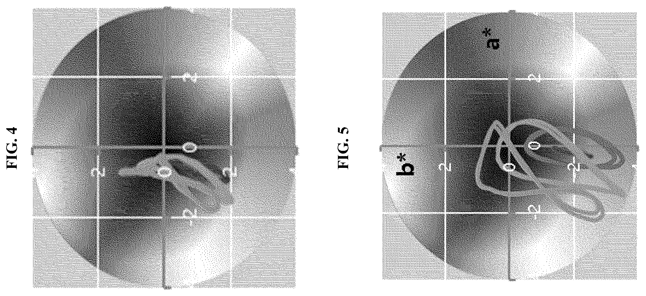 Patent US12158600 Figure 2 – Polarizing plate and optical display apparatus comprising the same