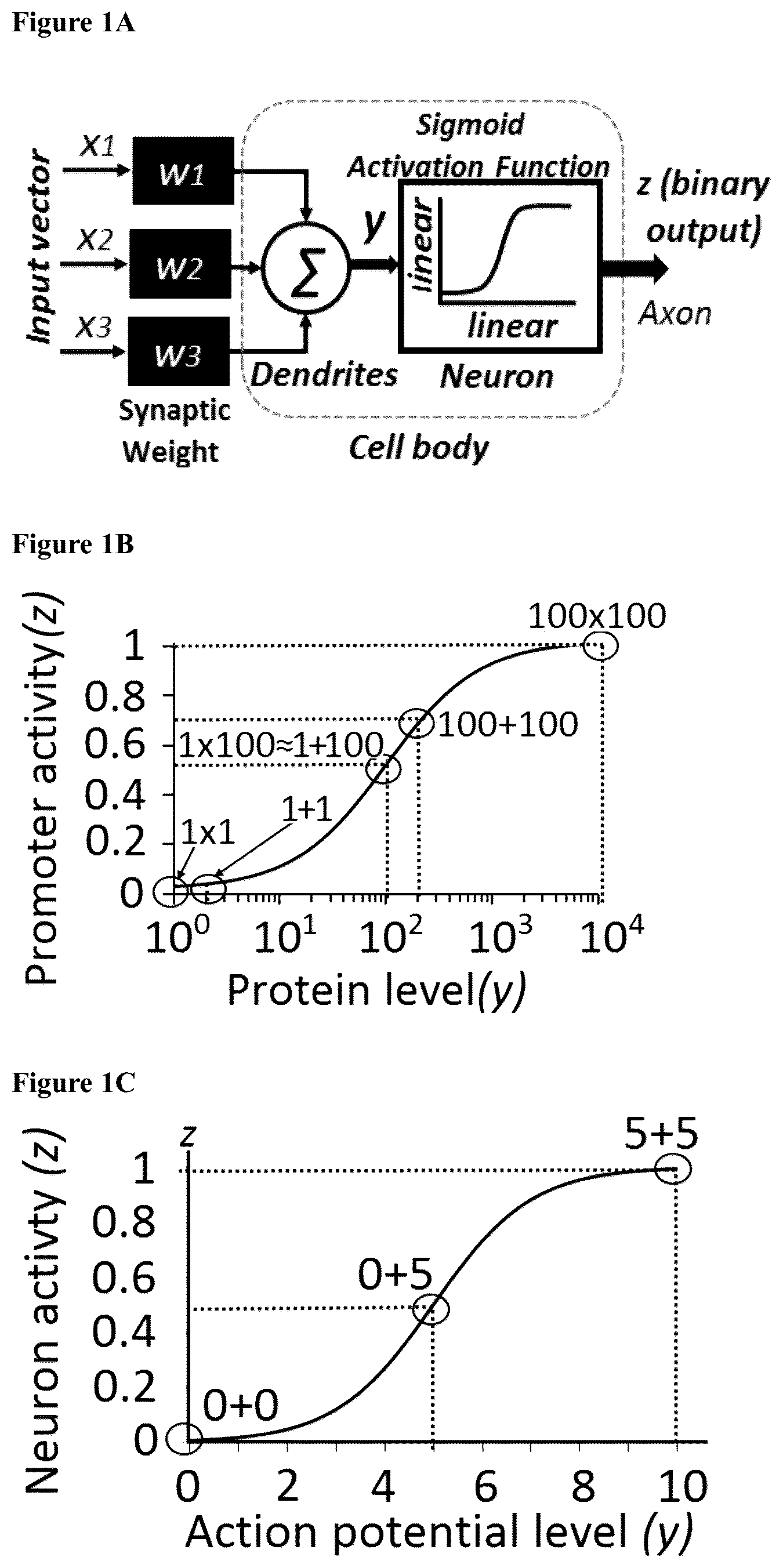 Patent US12165070 Figure 1 – DNA-based neural network