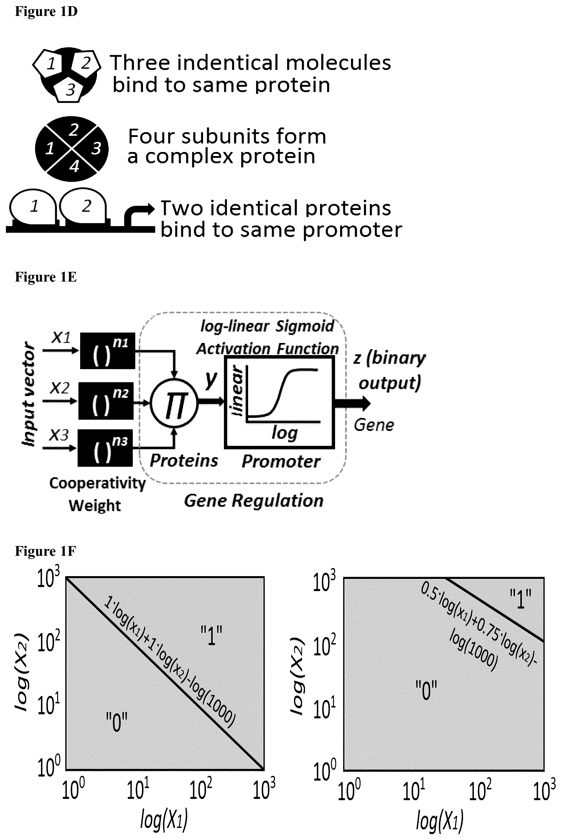 Patent US12165070 Figure 2 – DNA-based neural network