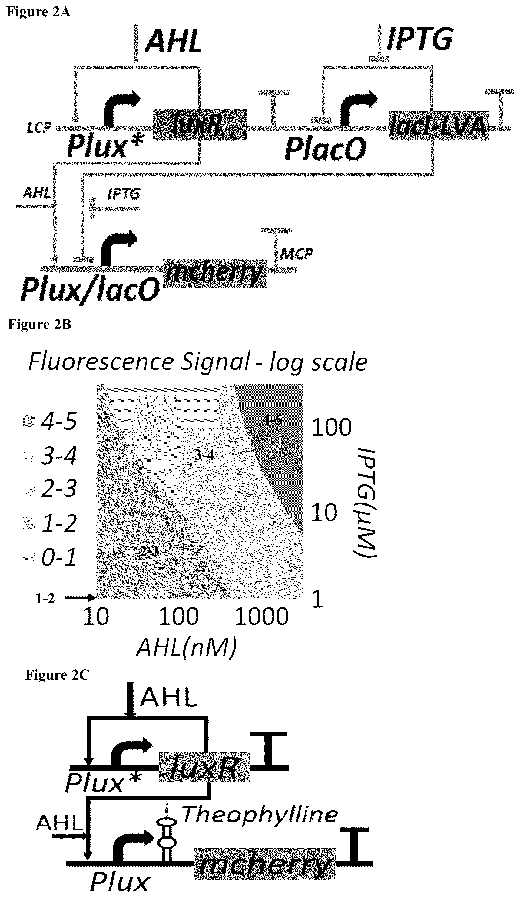 Patent US12165070 Figure 3 – DNA-based neural network