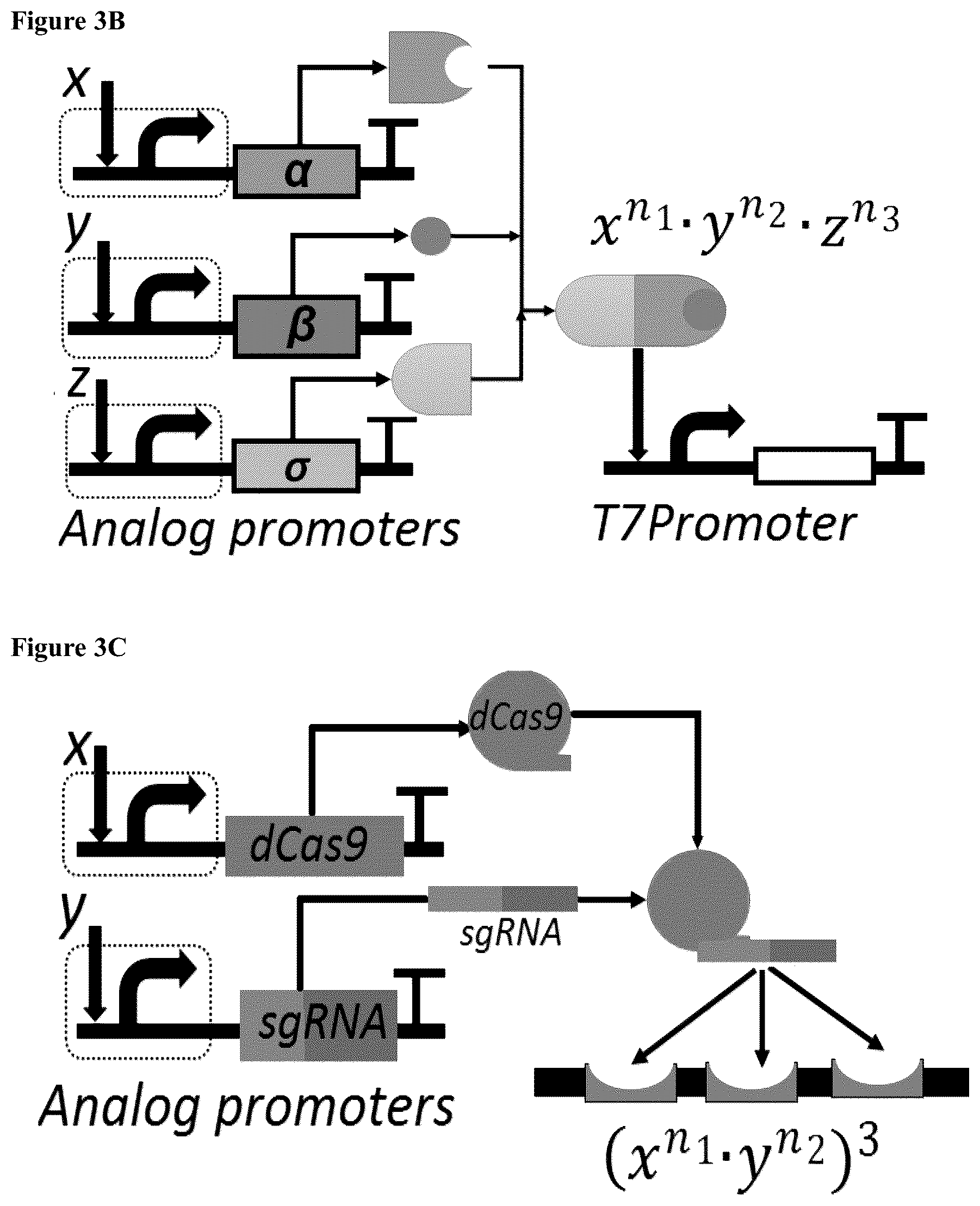 Patent US12165070 Figure 7 – DNA-based neural network