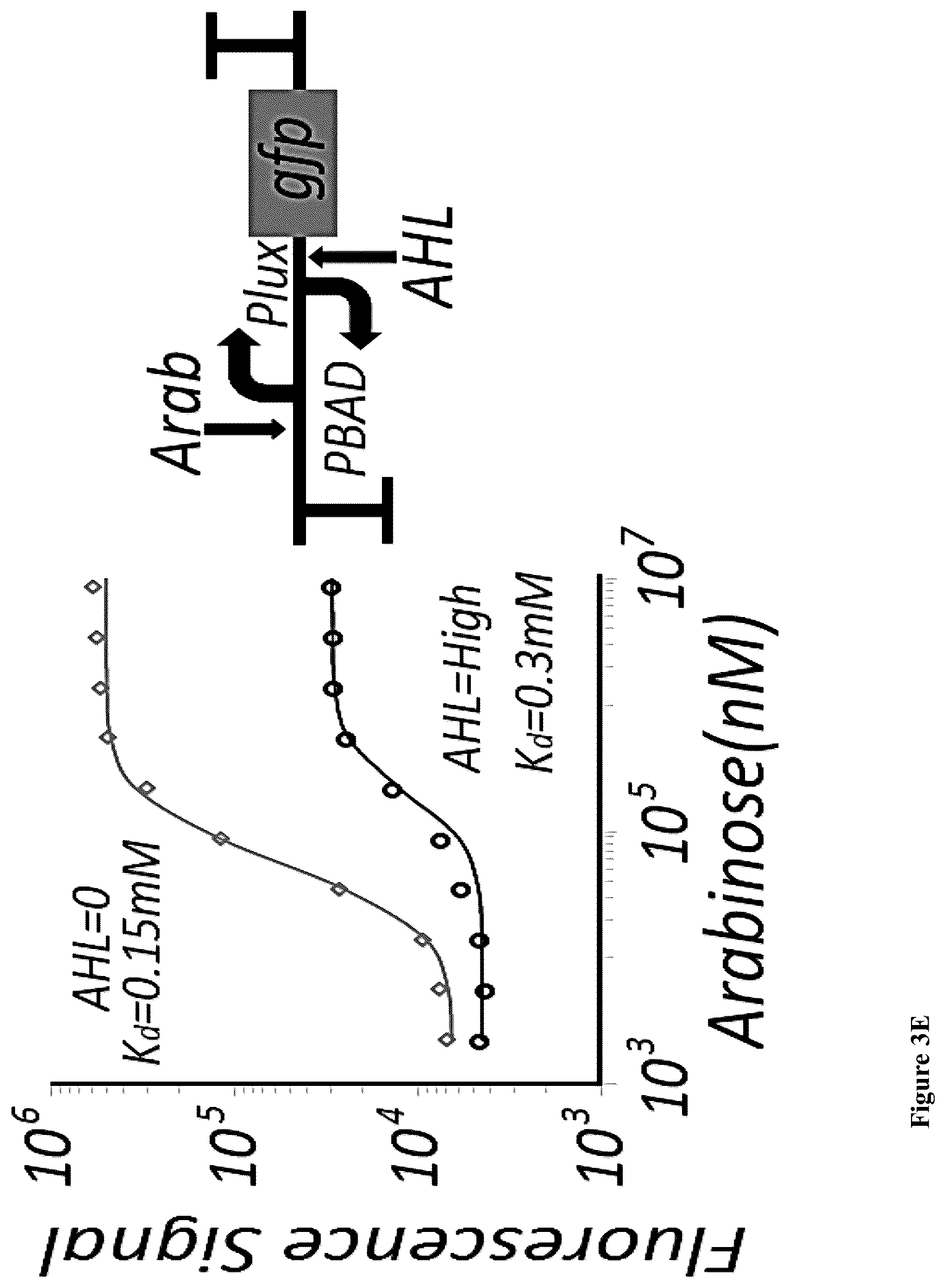 Patent US12165070 Figure 9 – DNA-based neural network