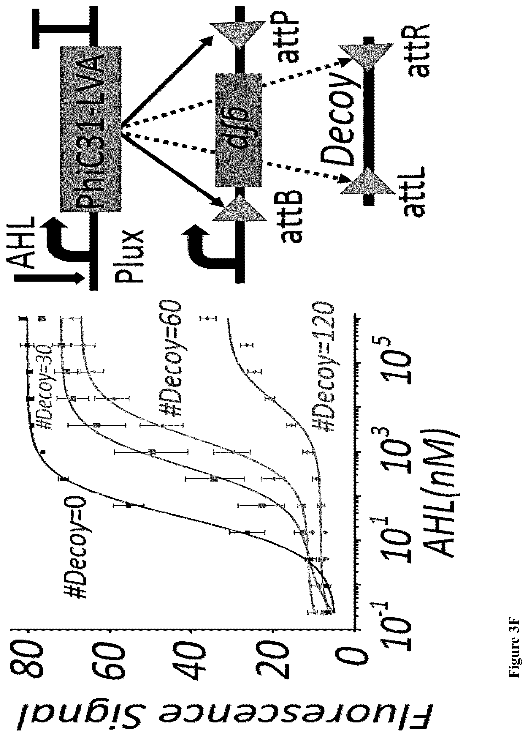 Patent US12165070 Figure 10 – DNA-based neural network