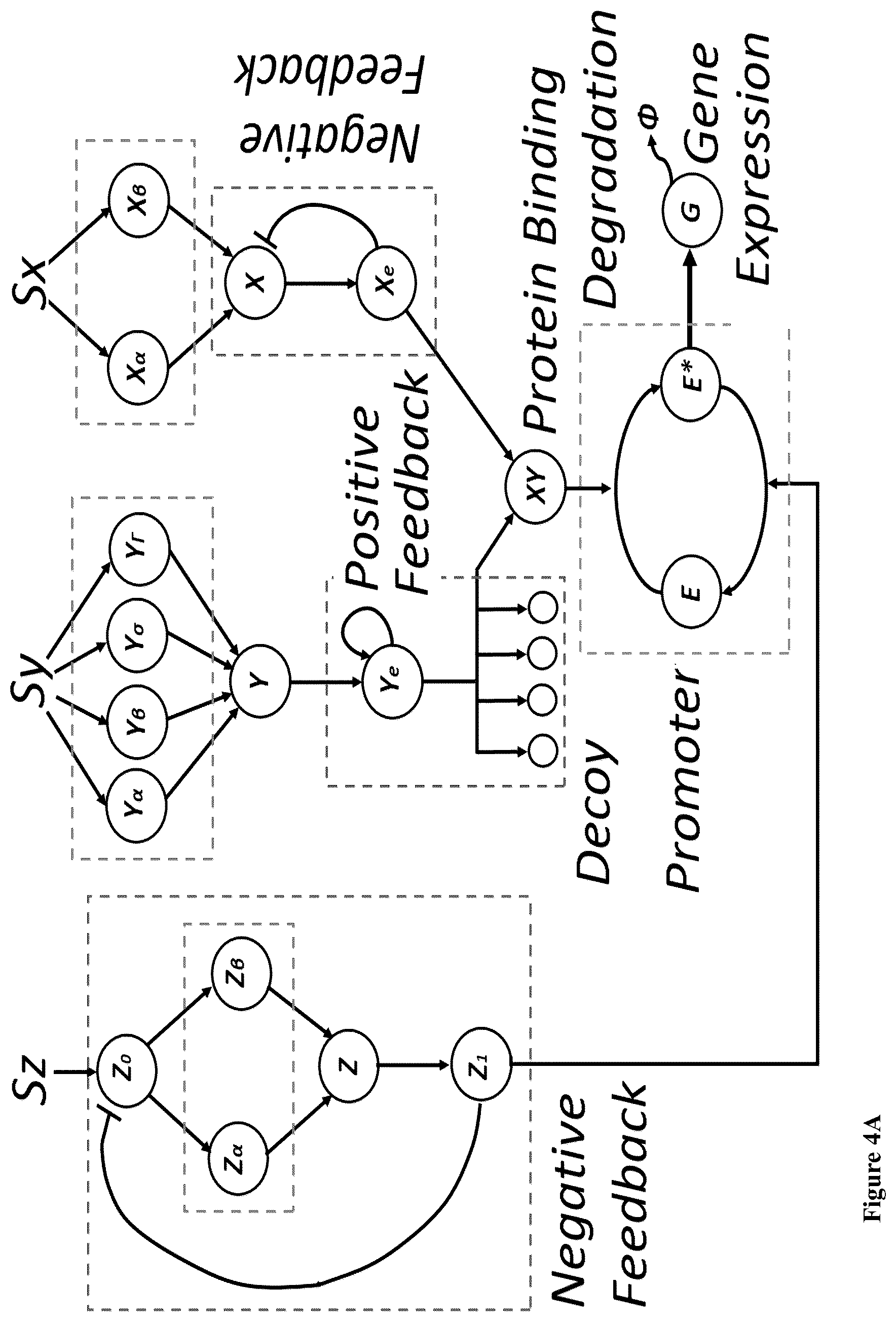 Patent US12165070 Figure 11 – DNA-based neural network