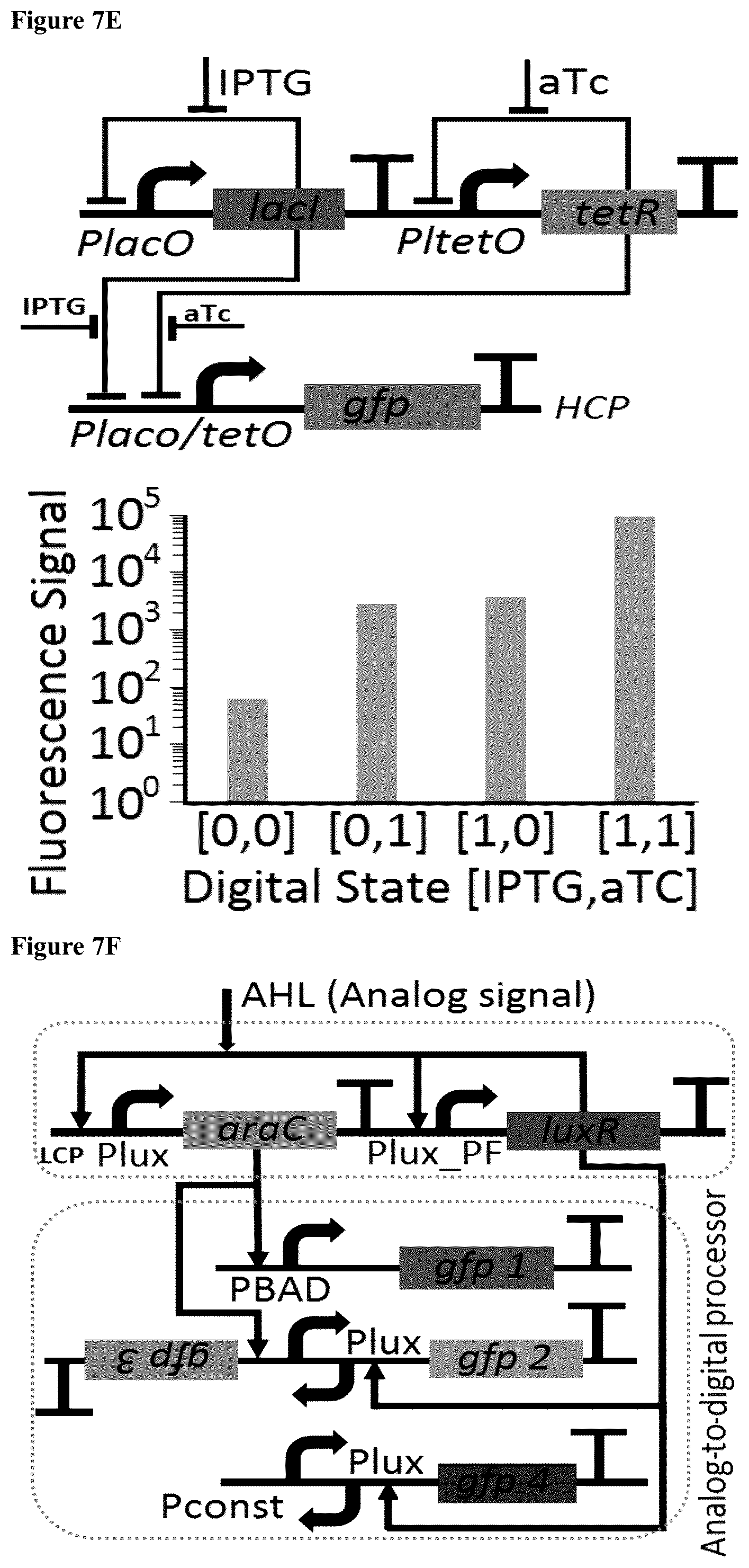 Patent US12165070 Figure 19 – DNA-based neural network