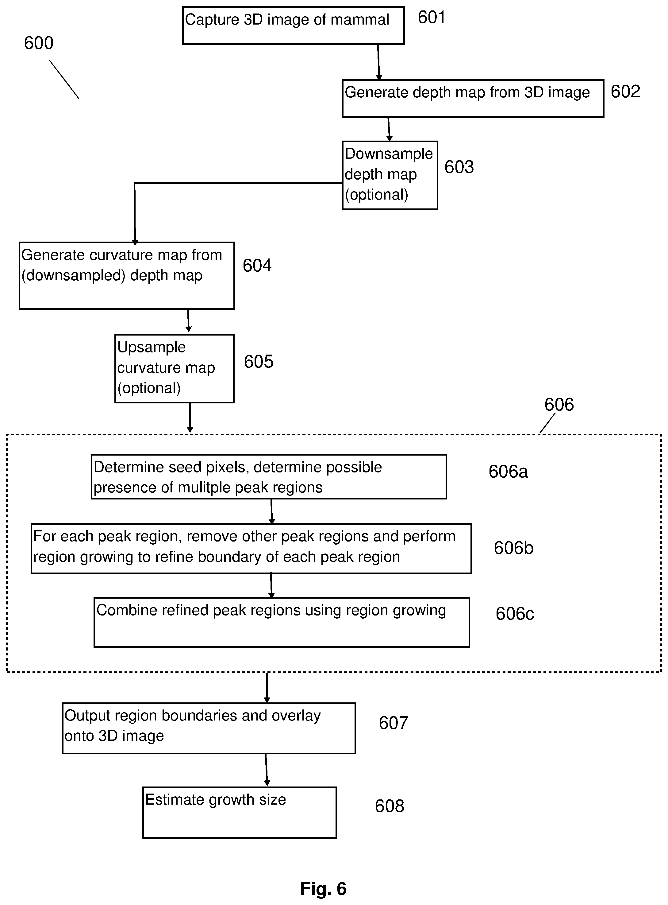 Patent US12165309 Figure 6 – Deformity edge detection