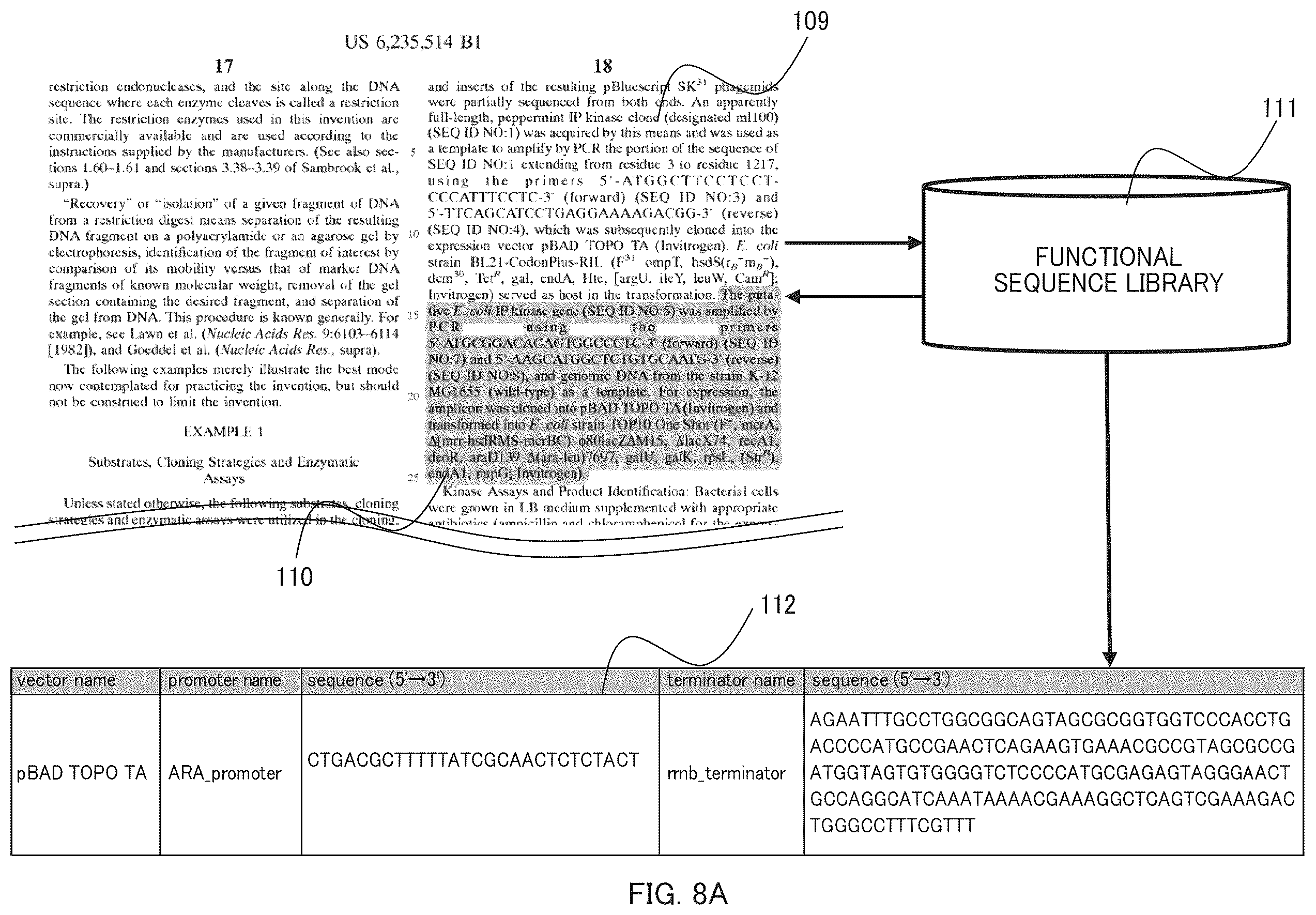 Patent US12165744 Figure 8 – Functional sequence selection method and functional sequence selection system