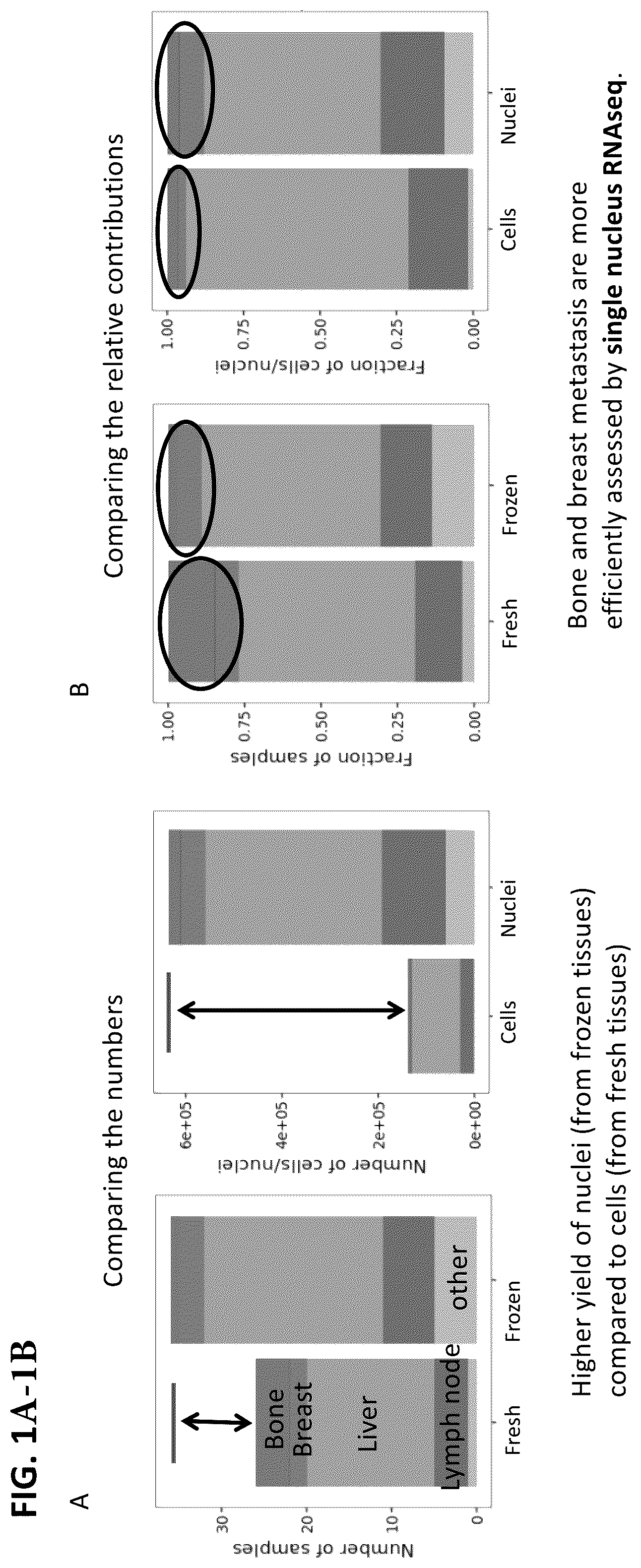 Patent US12165747 Figure 1 – Molecular spatial mapping of metastatic tumor microenvironment