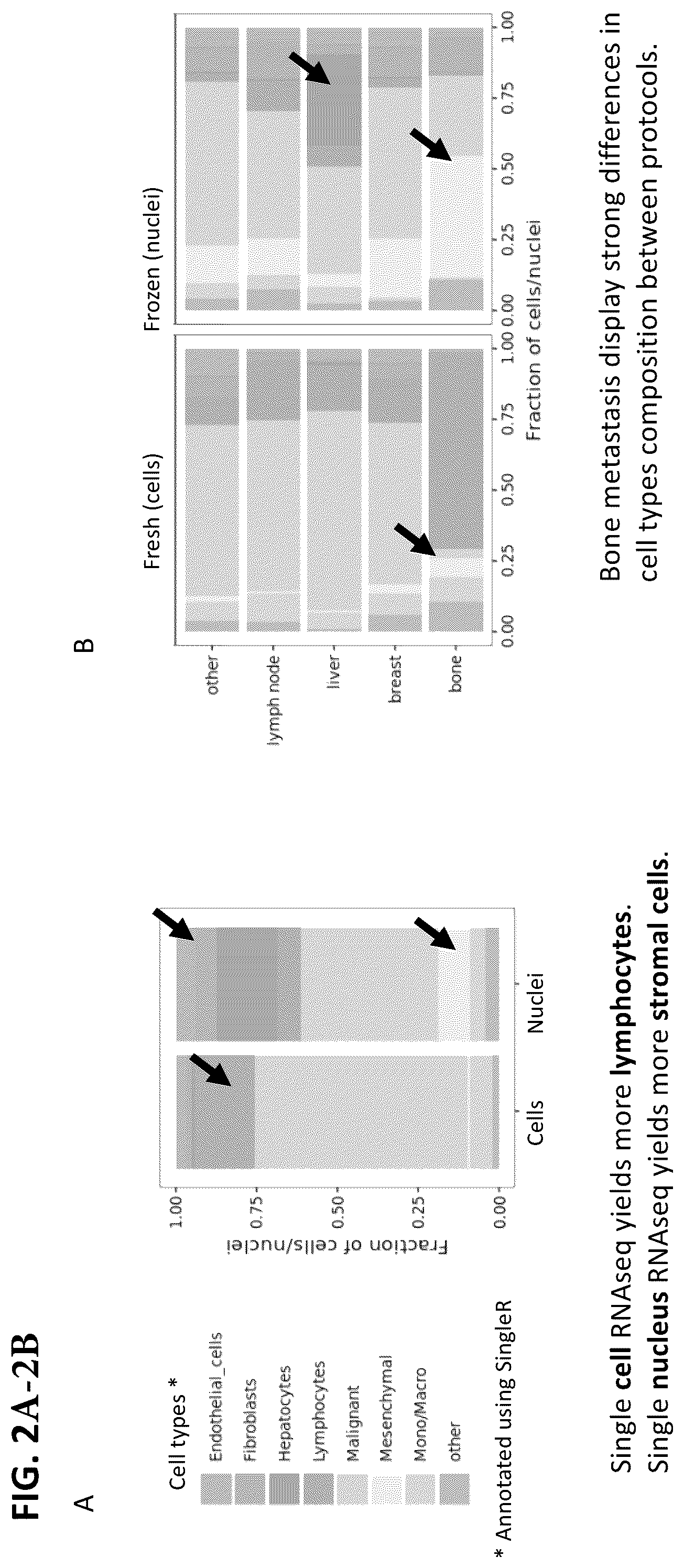 Patent US12165747 Figure 2 – Molecular spatial mapping of metastatic tumor microenvironment