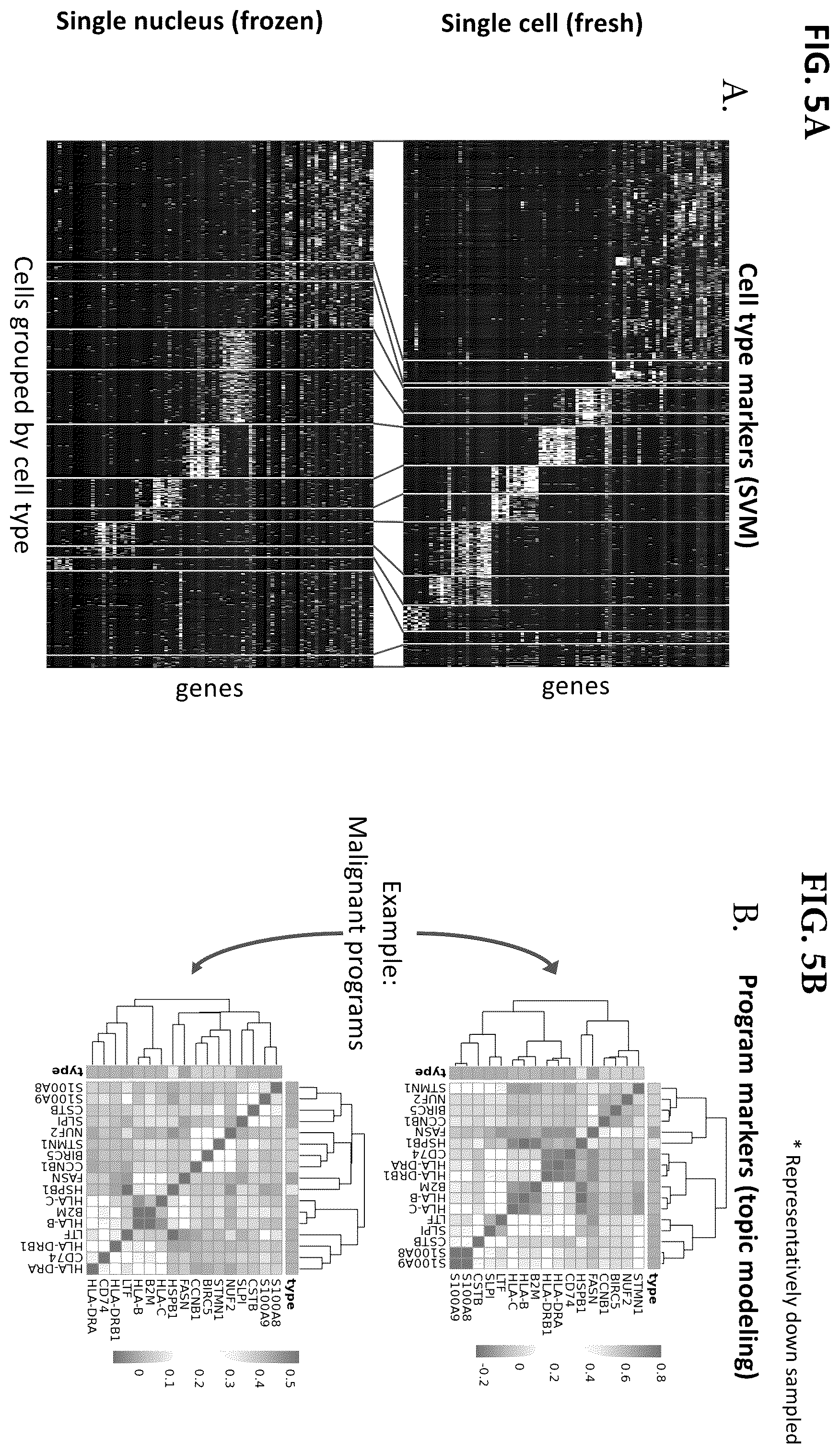 Patent US12165747 Figure 5 – Molecular spatial mapping of metastatic tumor microenvironment