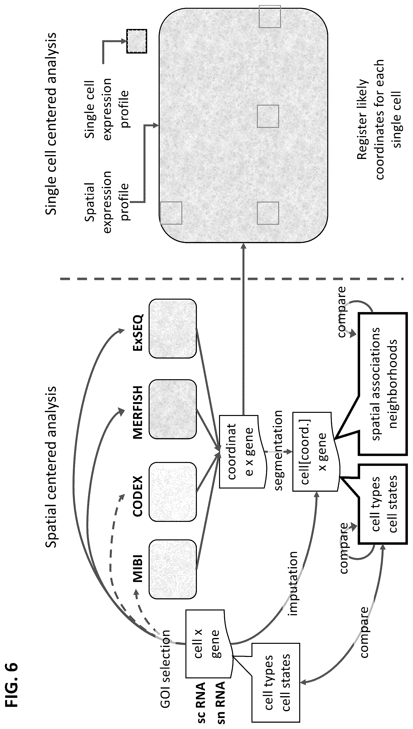Patent US12165747 Figure 6 – Molecular spatial mapping of metastatic tumor microenvironment