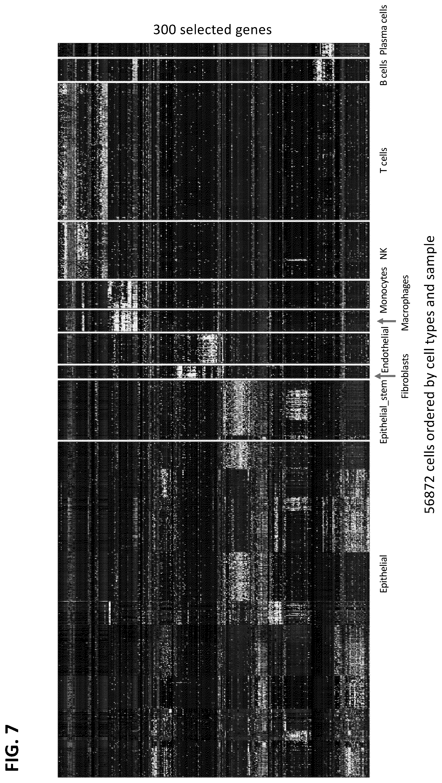 Patent US12165747 Figure 7 – Molecular spatial mapping of metastatic tumor microenvironment