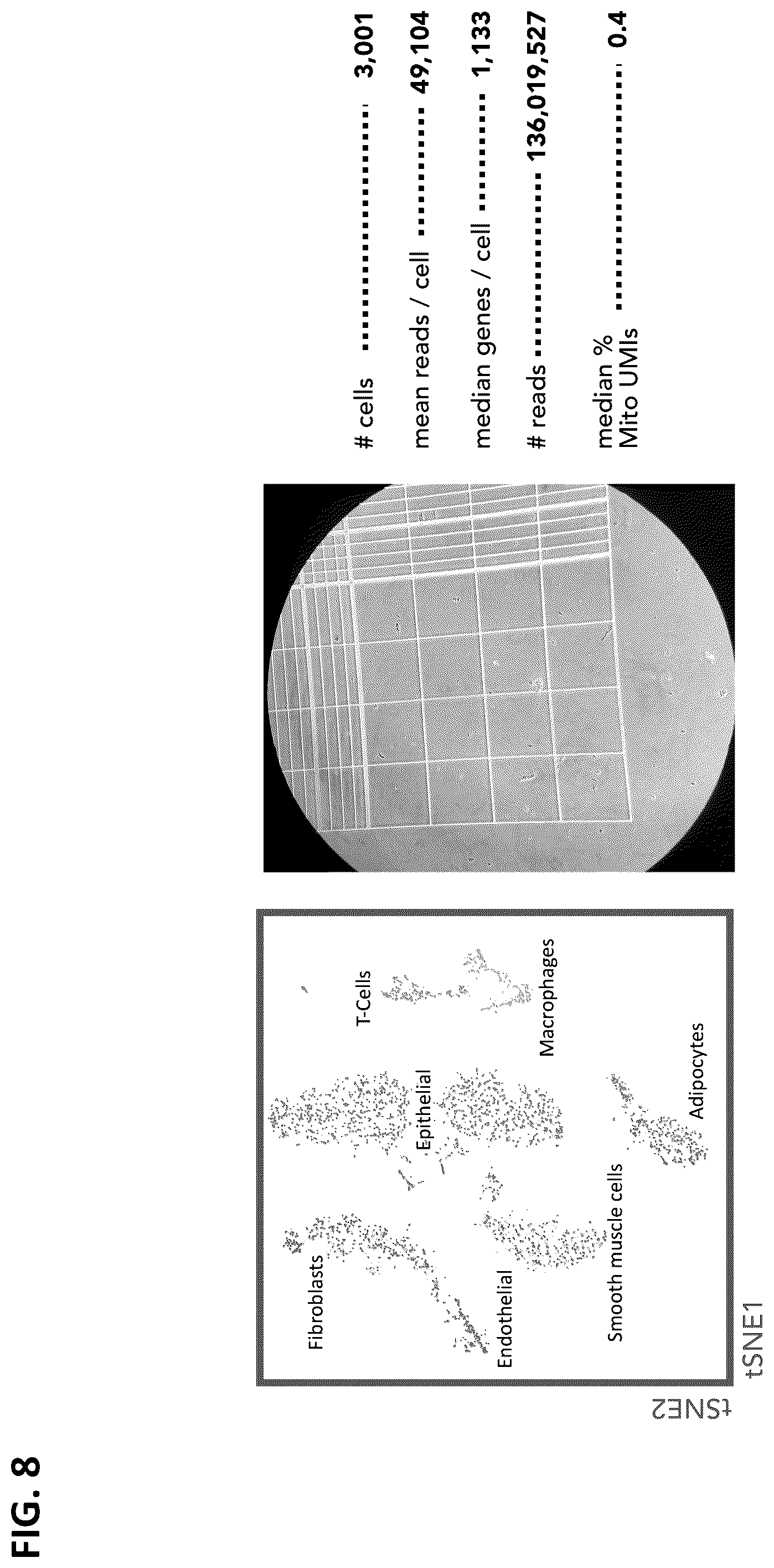 Patent US12165747 Figure 8 – Molecular spatial mapping of metastatic tumor microenvironment