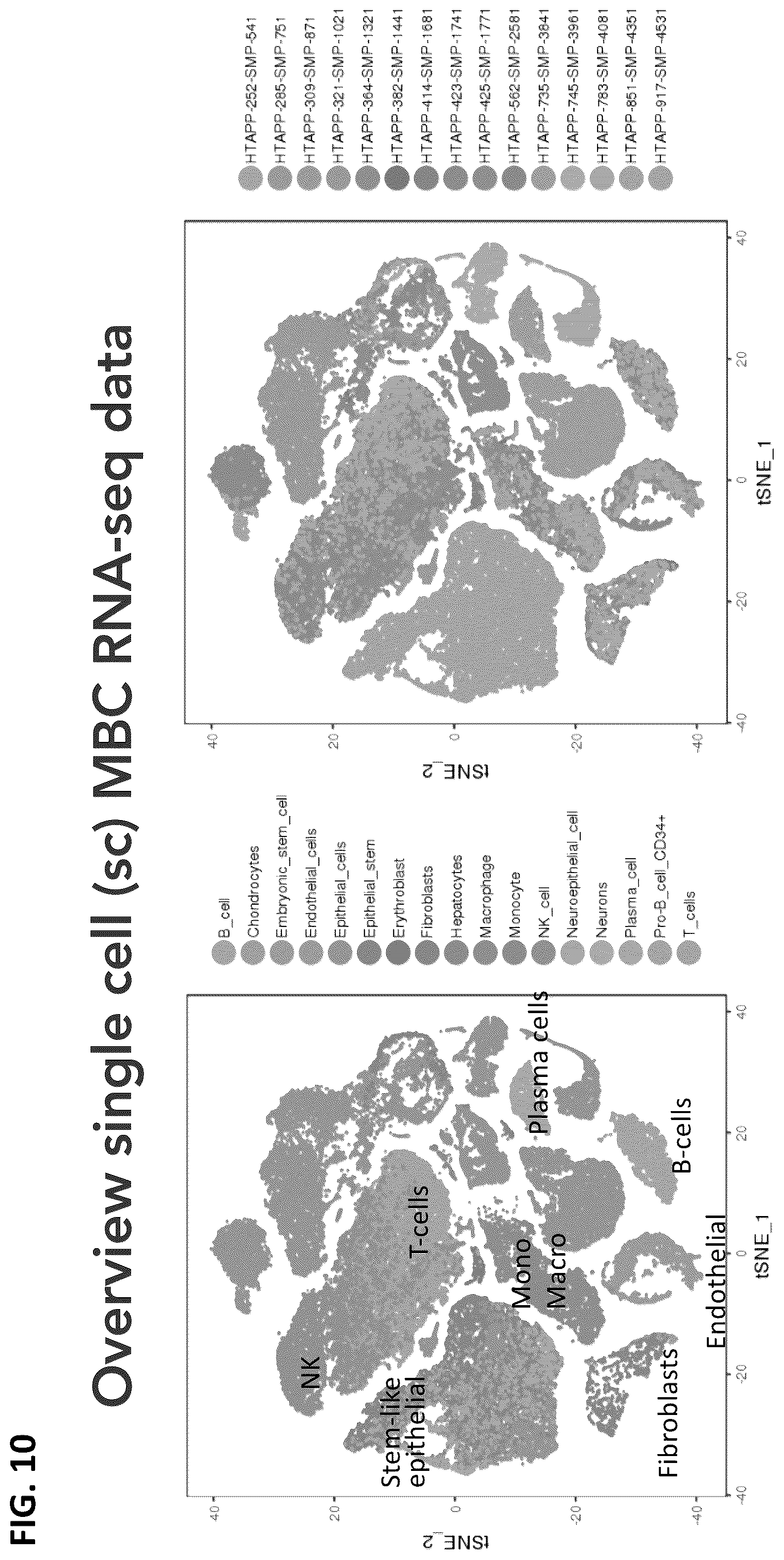 Patent US12165747 Figure 10 – Molecular spatial mapping of metastatic tumor microenvironment